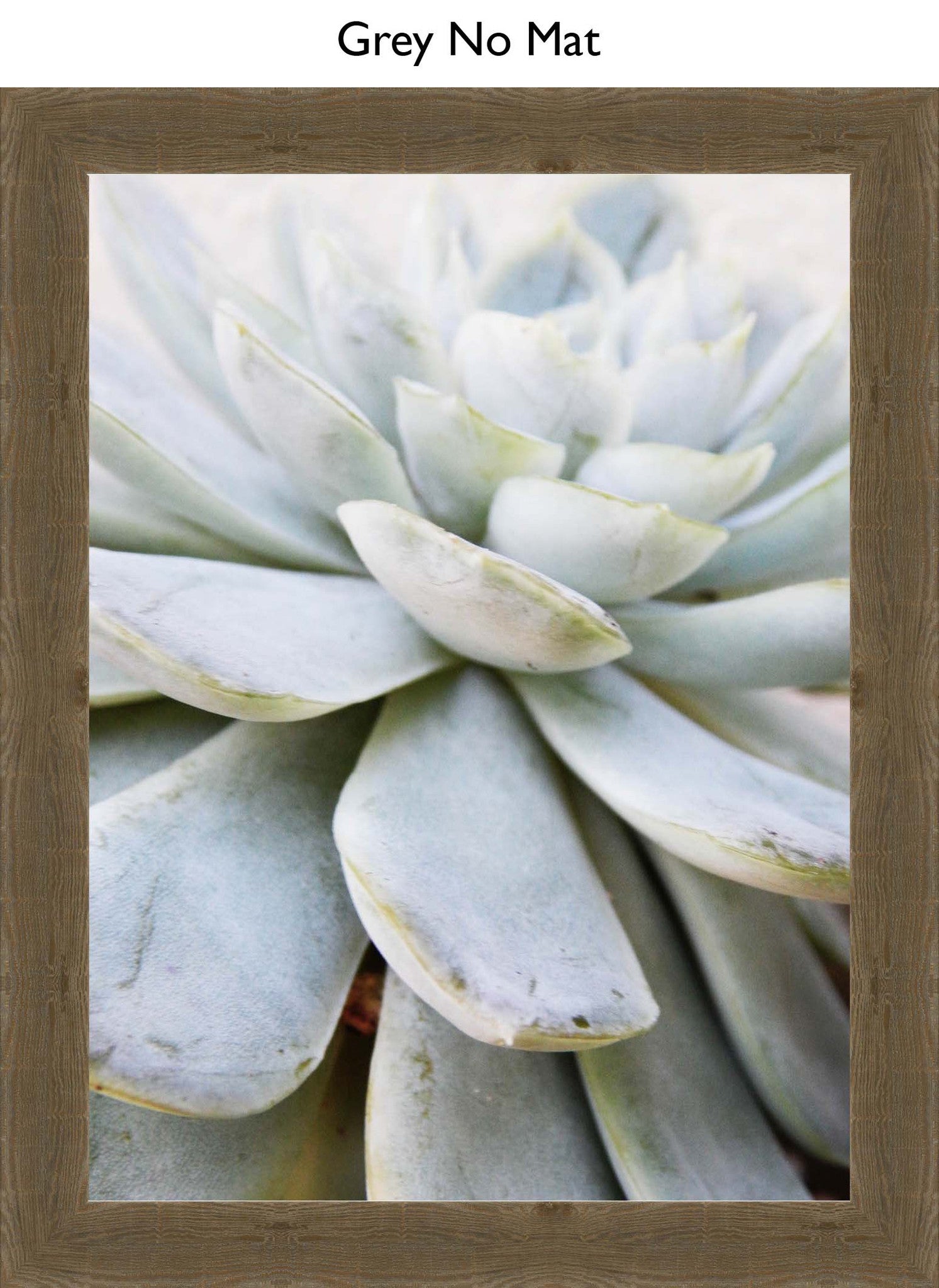 Grey No Mat