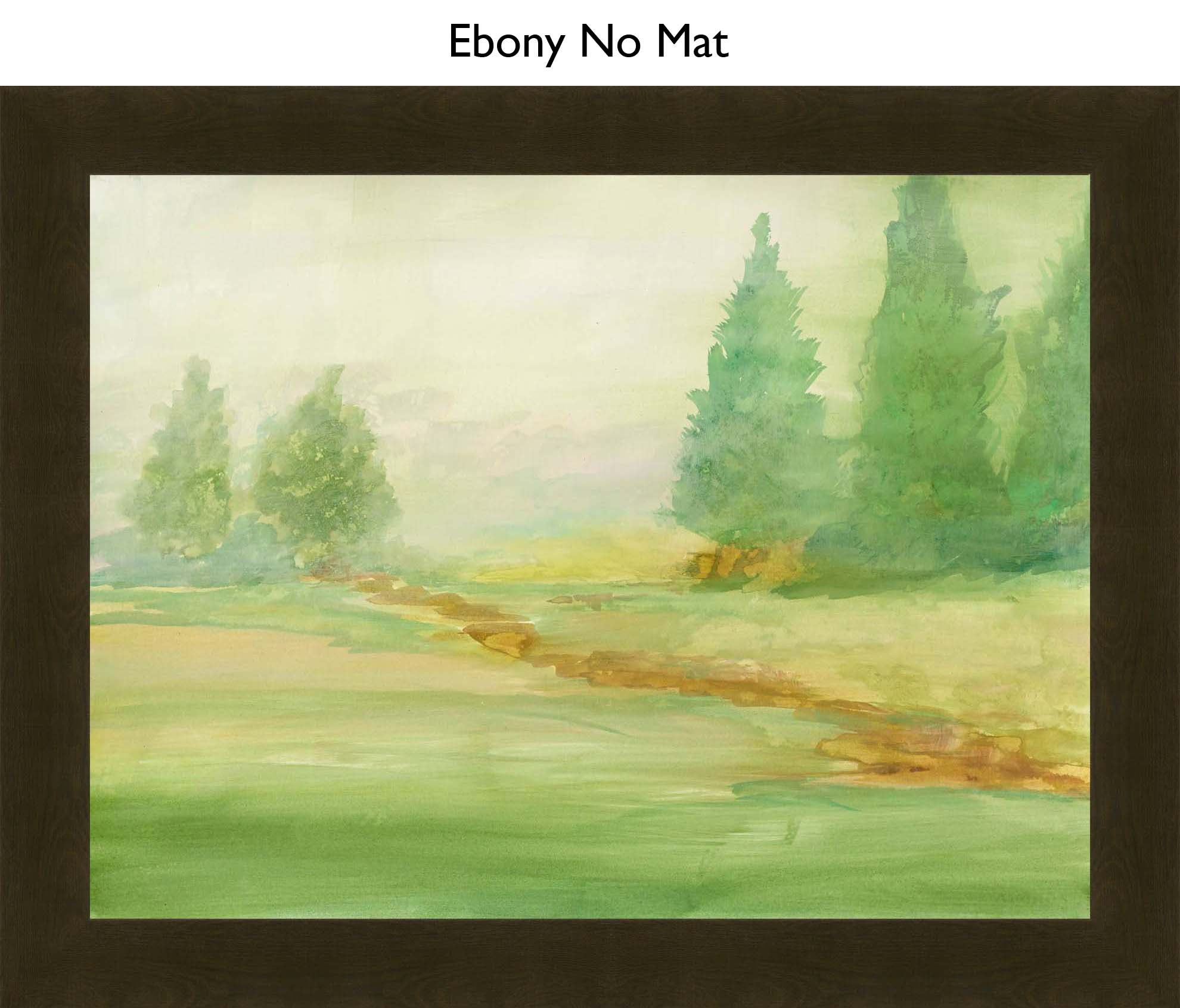 Ebony No Mat