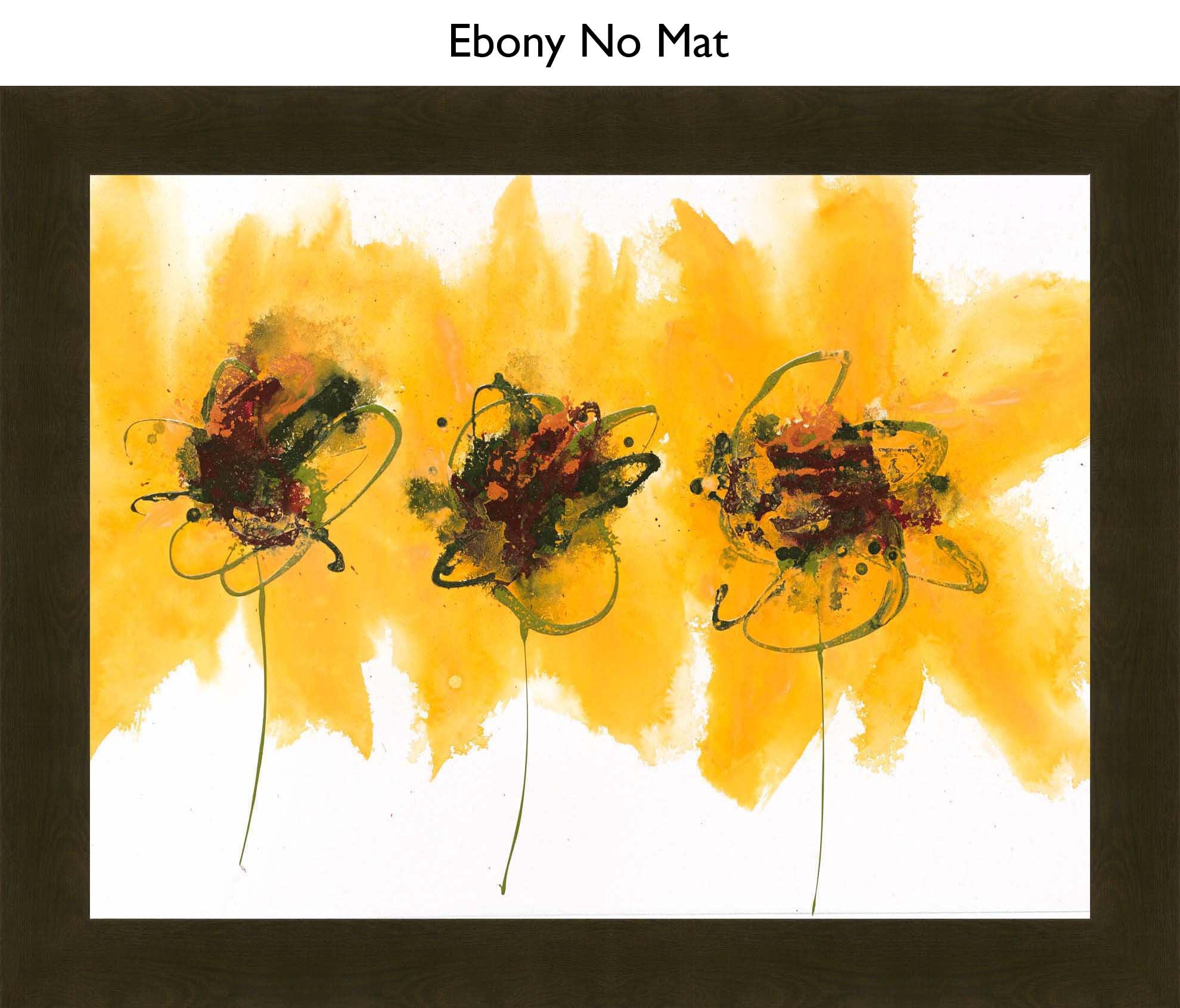 Ebony No Mat