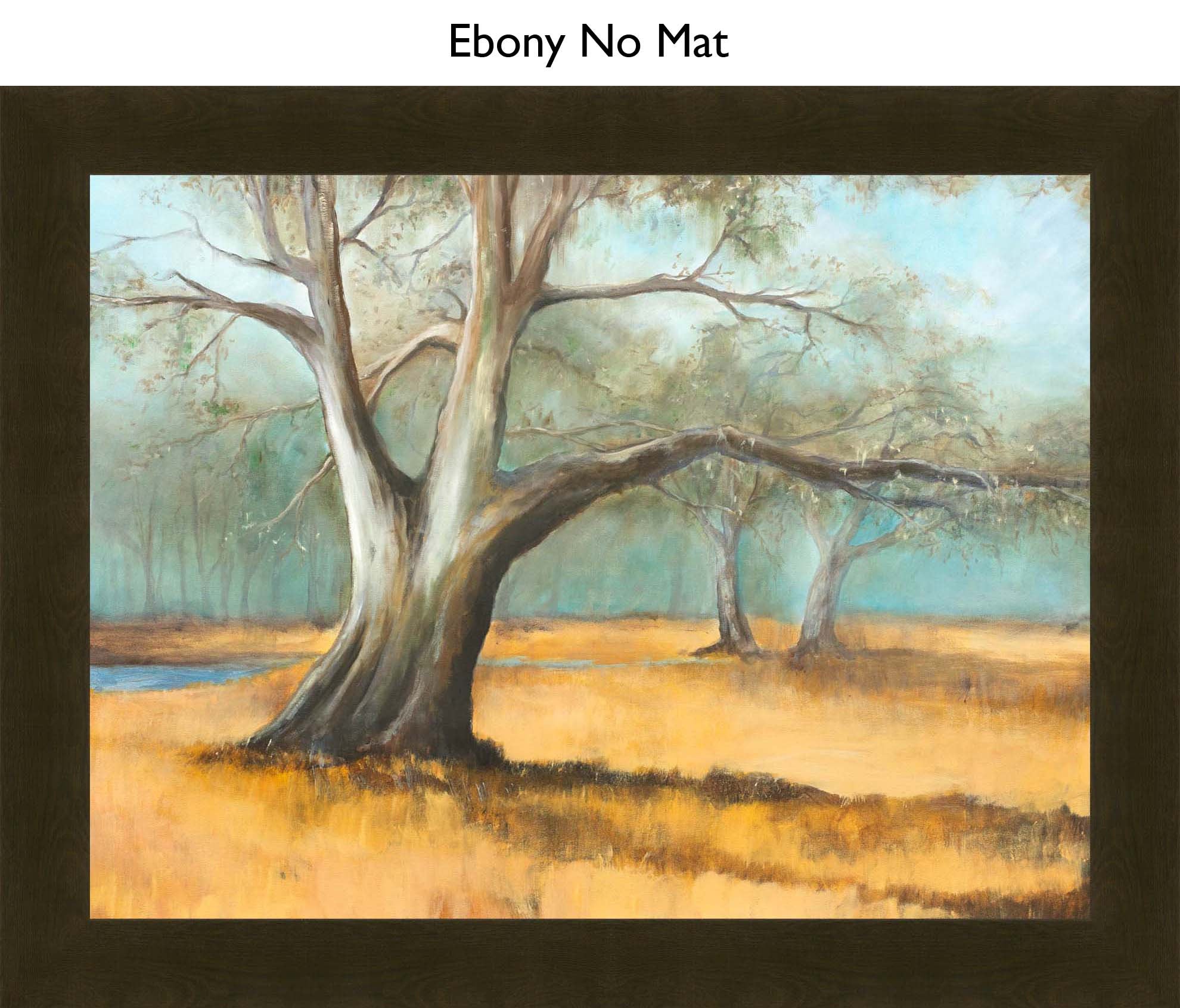 Ebony No Mat