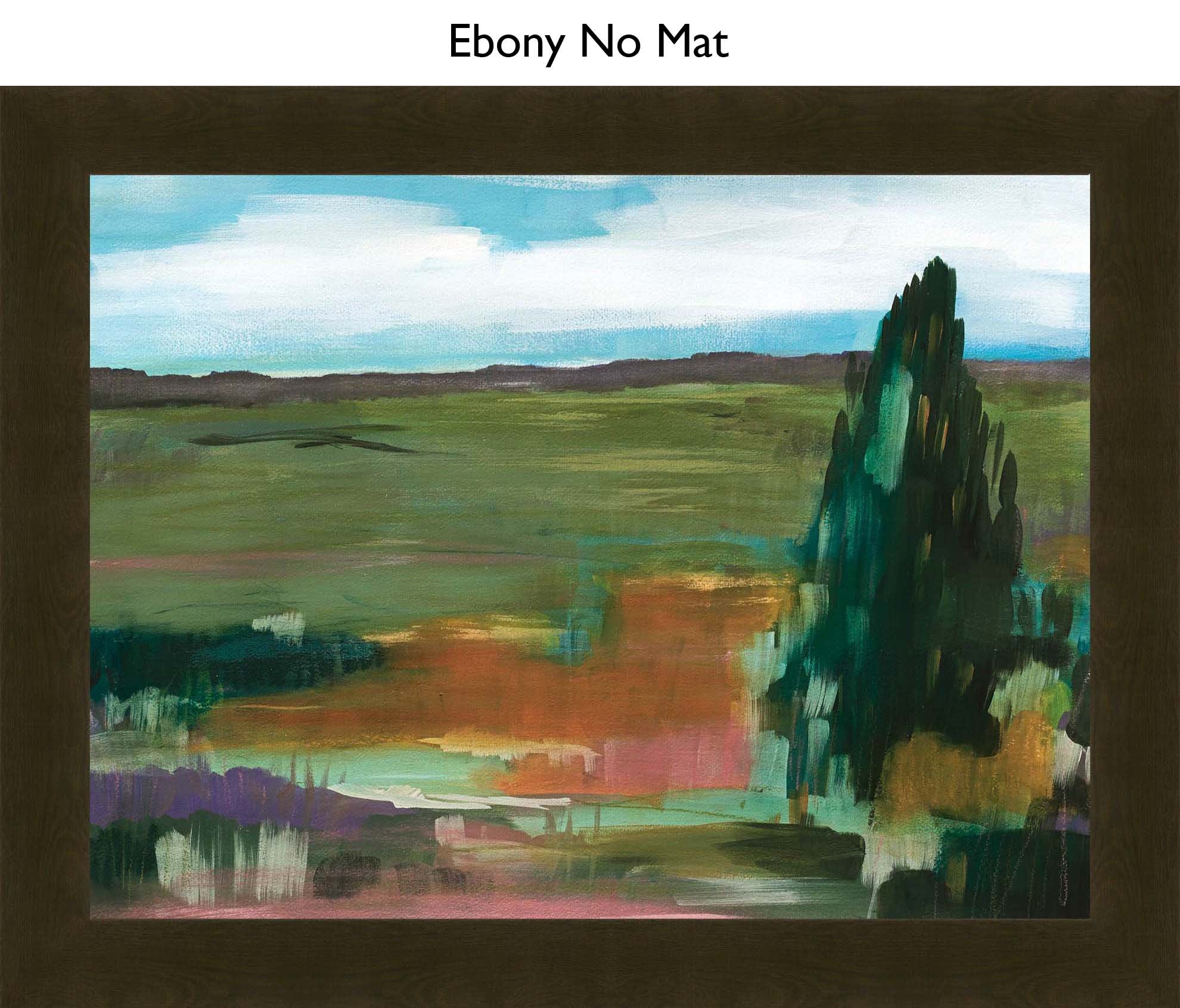 Ebony No Mat