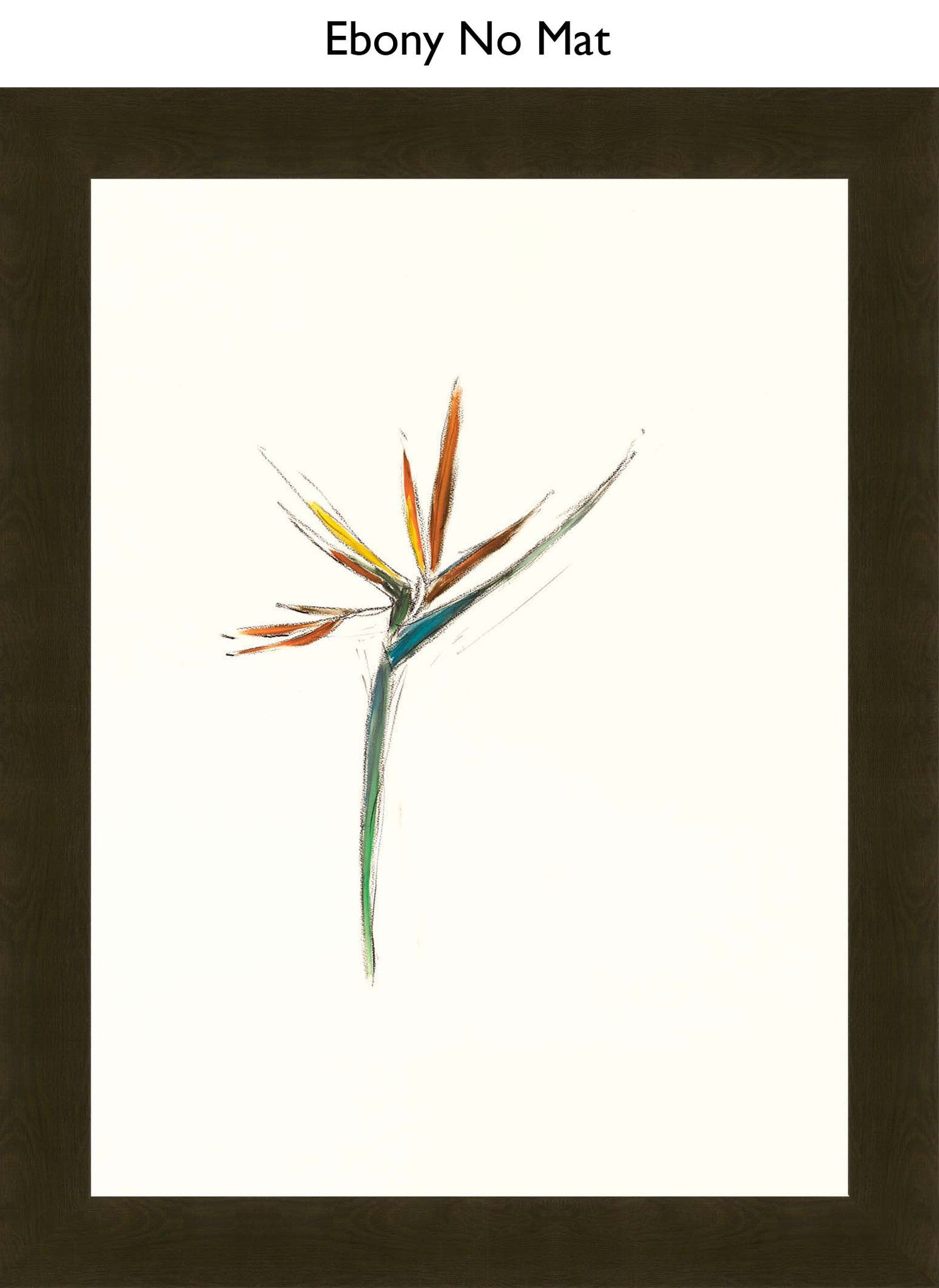 Ebony No Mat