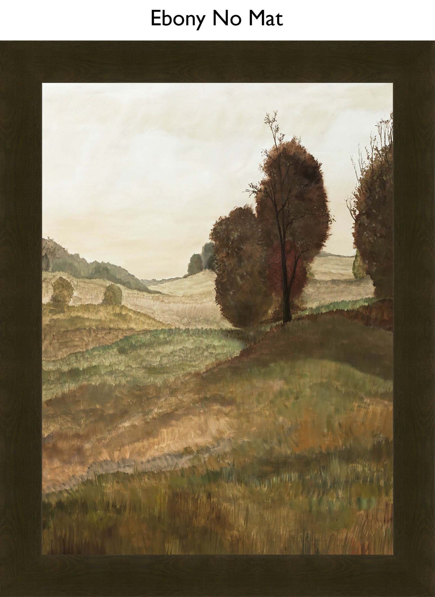 Ebony No Mat