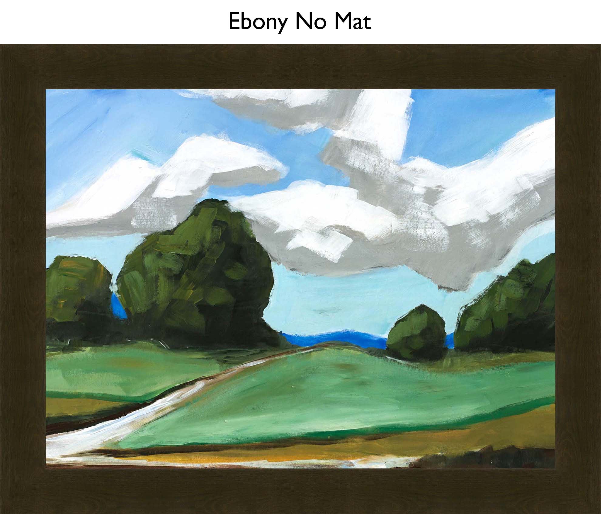 Ebony No Mat
