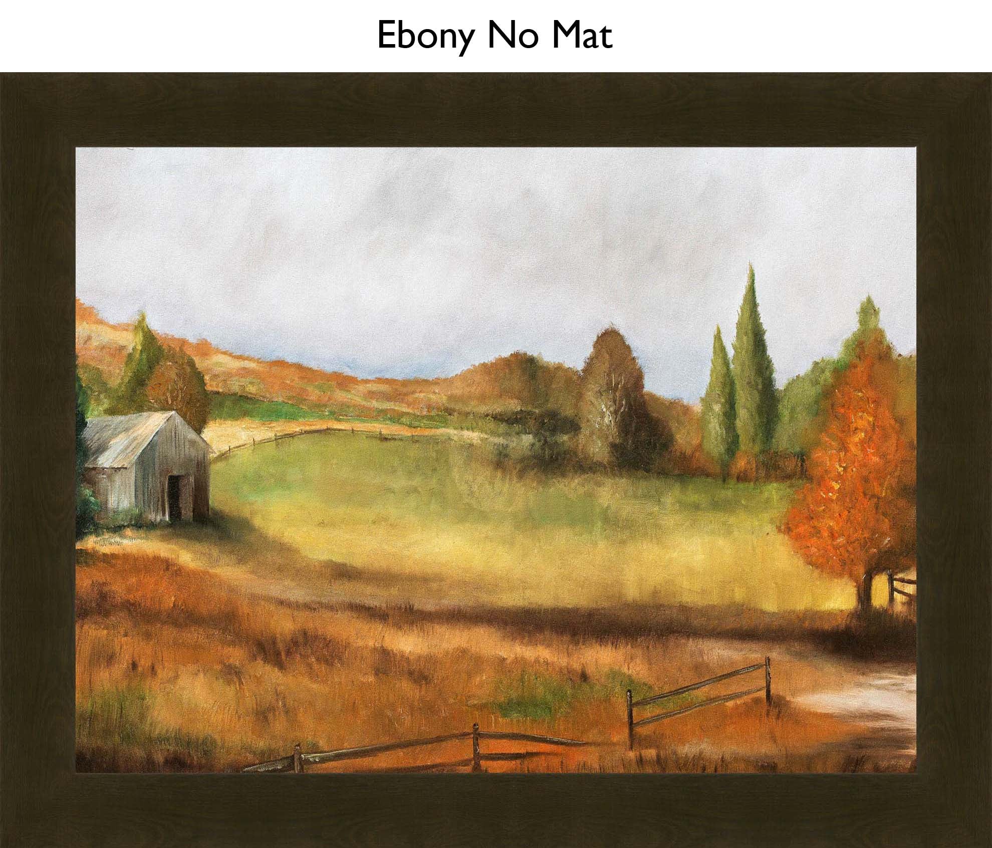 Ebony No Mat