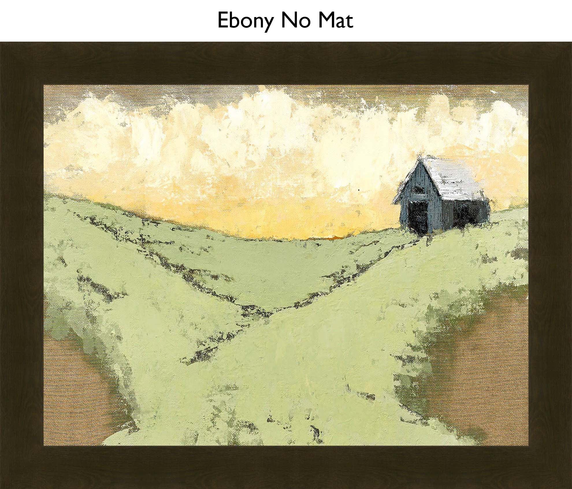 Ebony No Mat