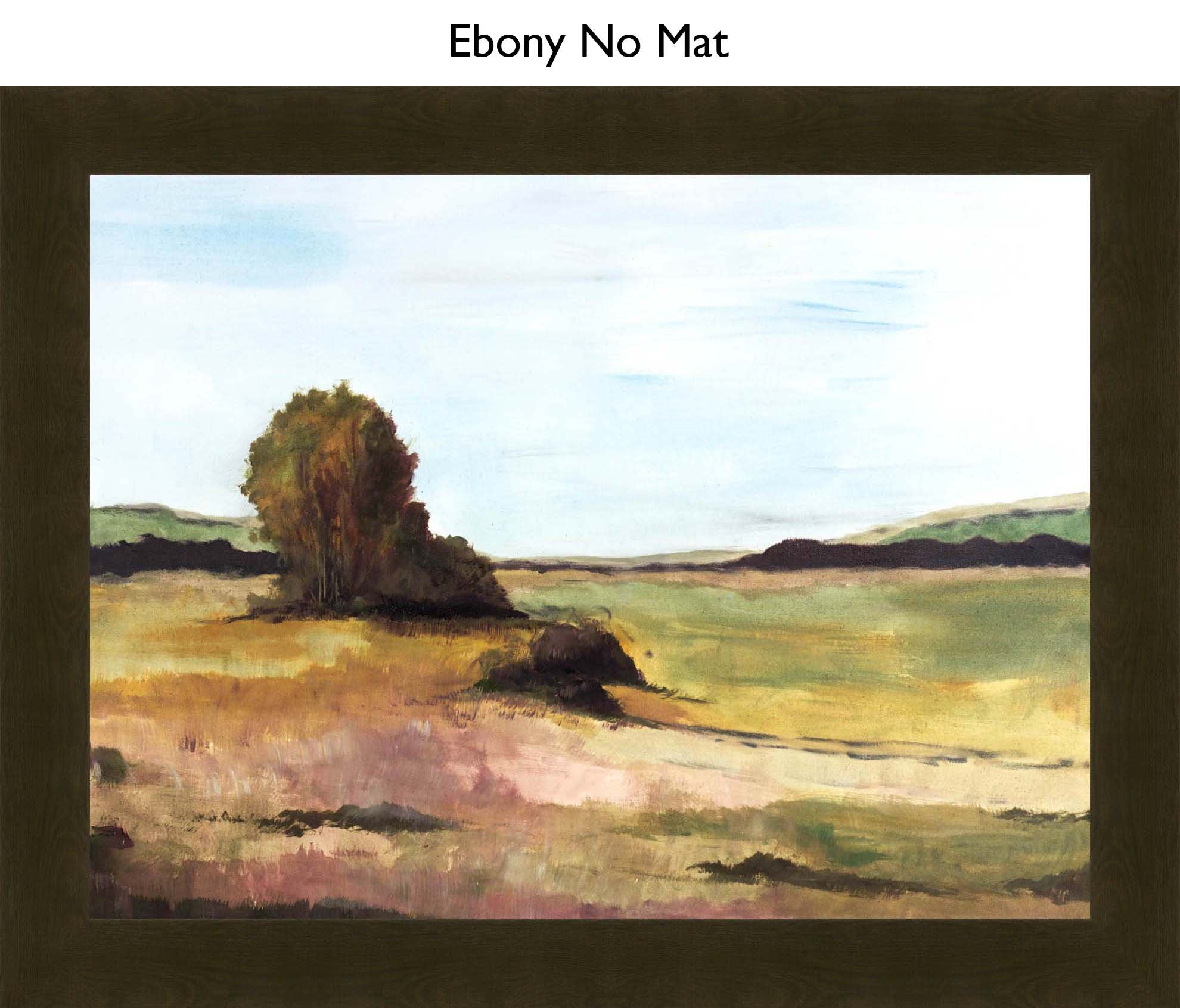 Ebony No Mat