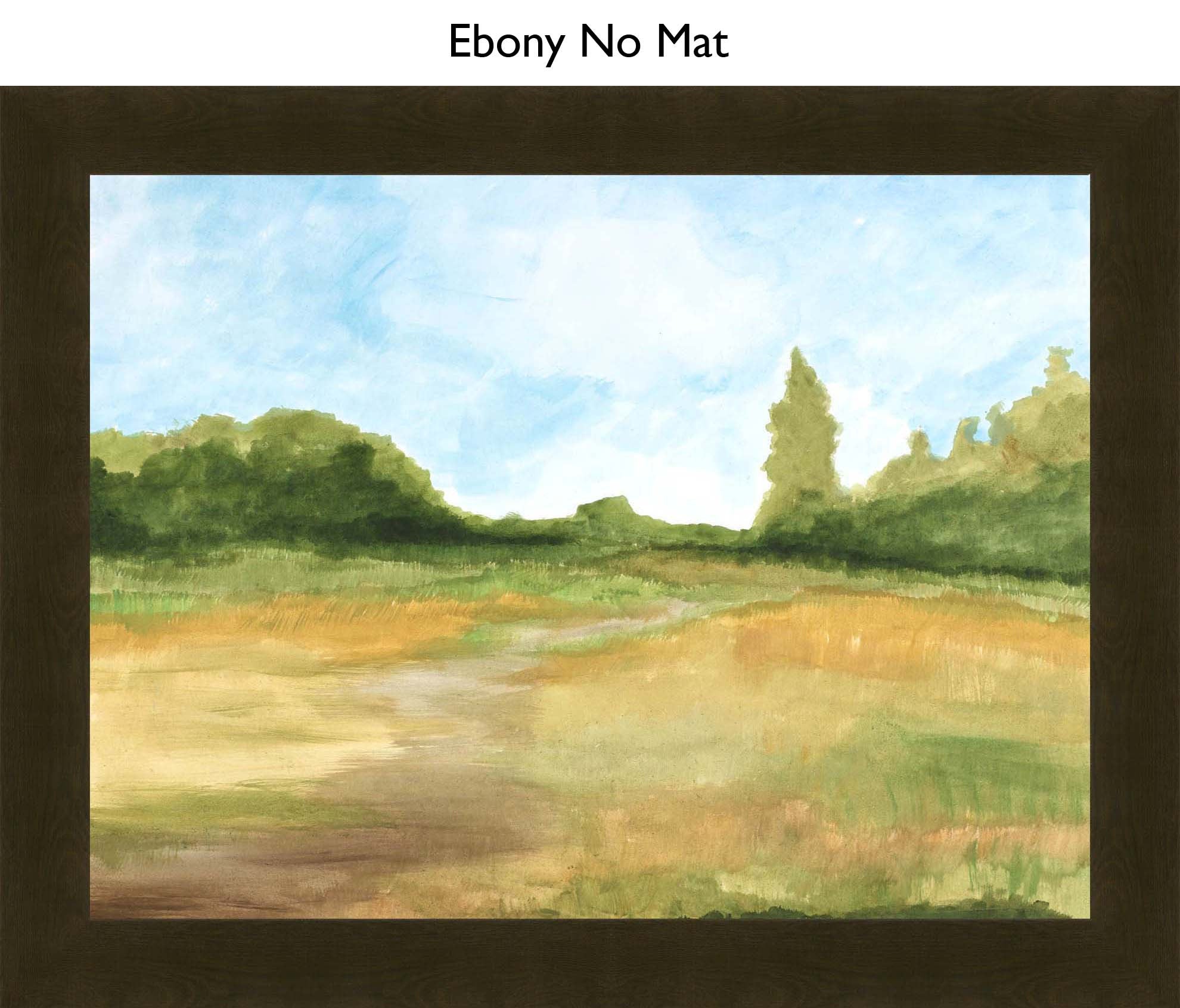 Ebony No Mat