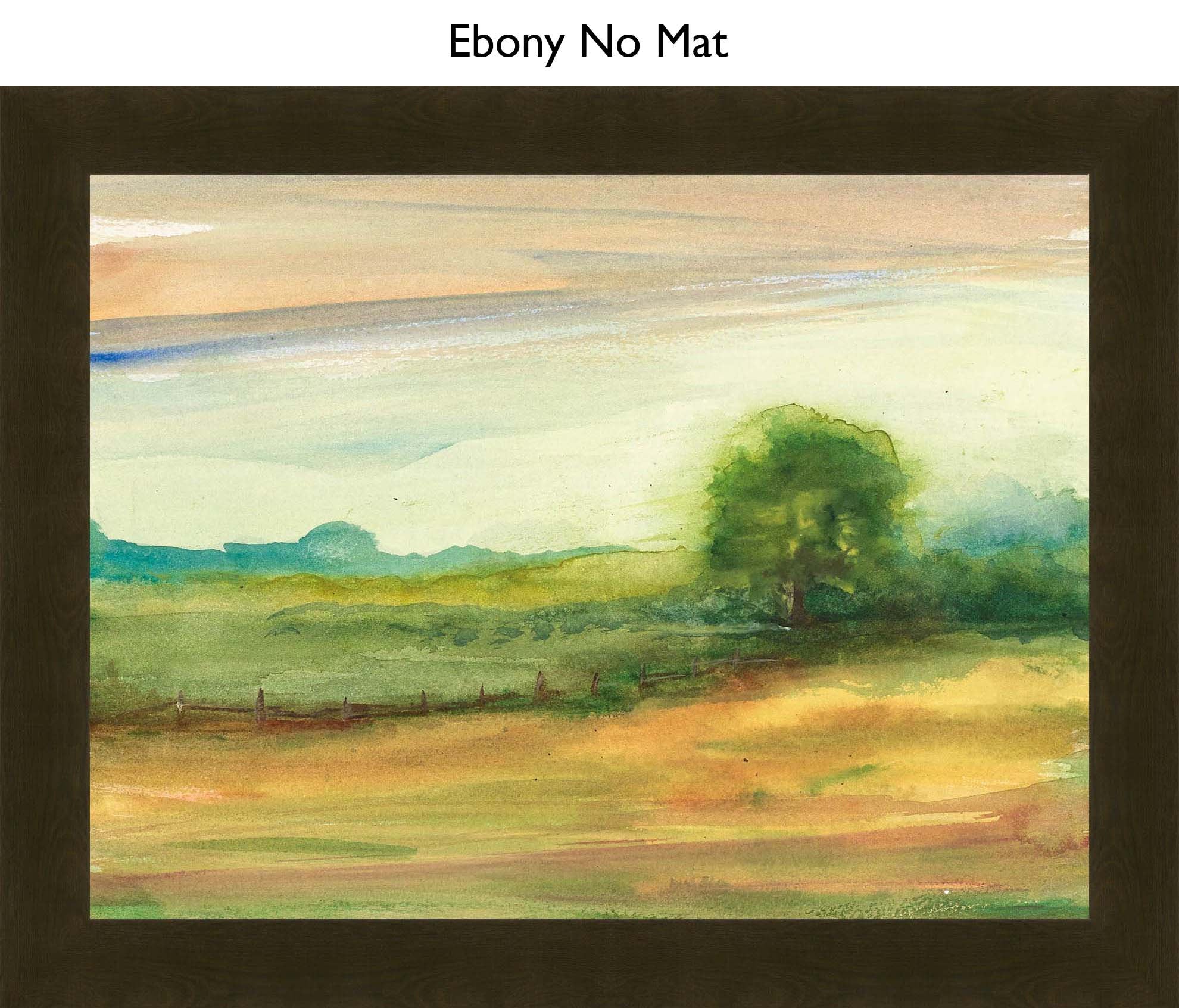 Ebony No Mat