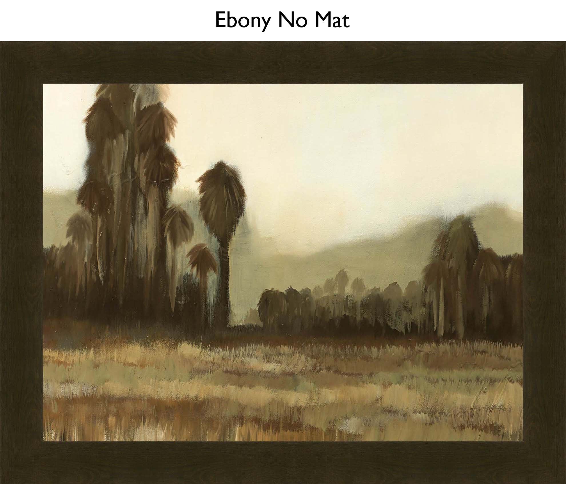 Ebony No Mat