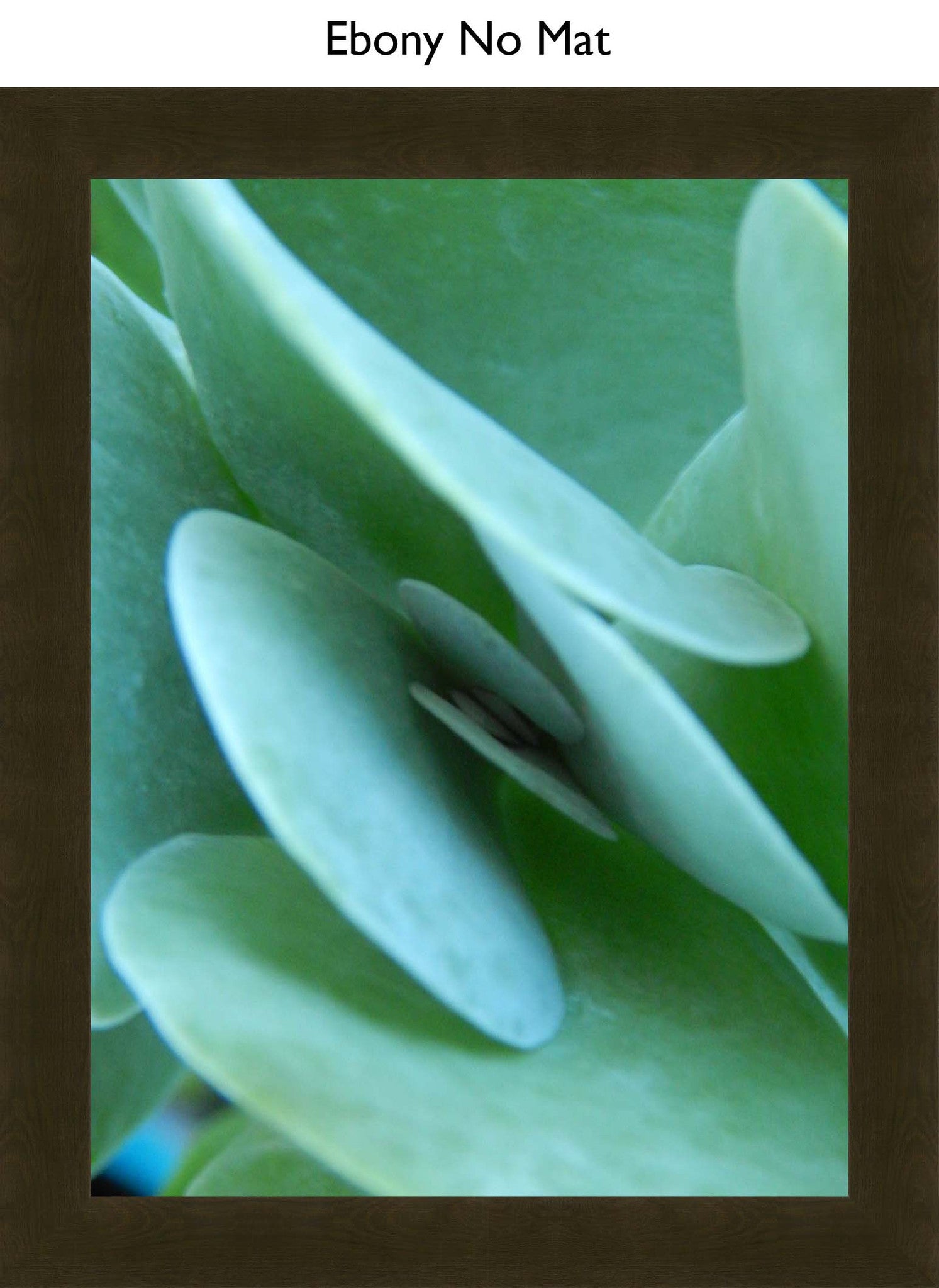 Ebony No Mat
