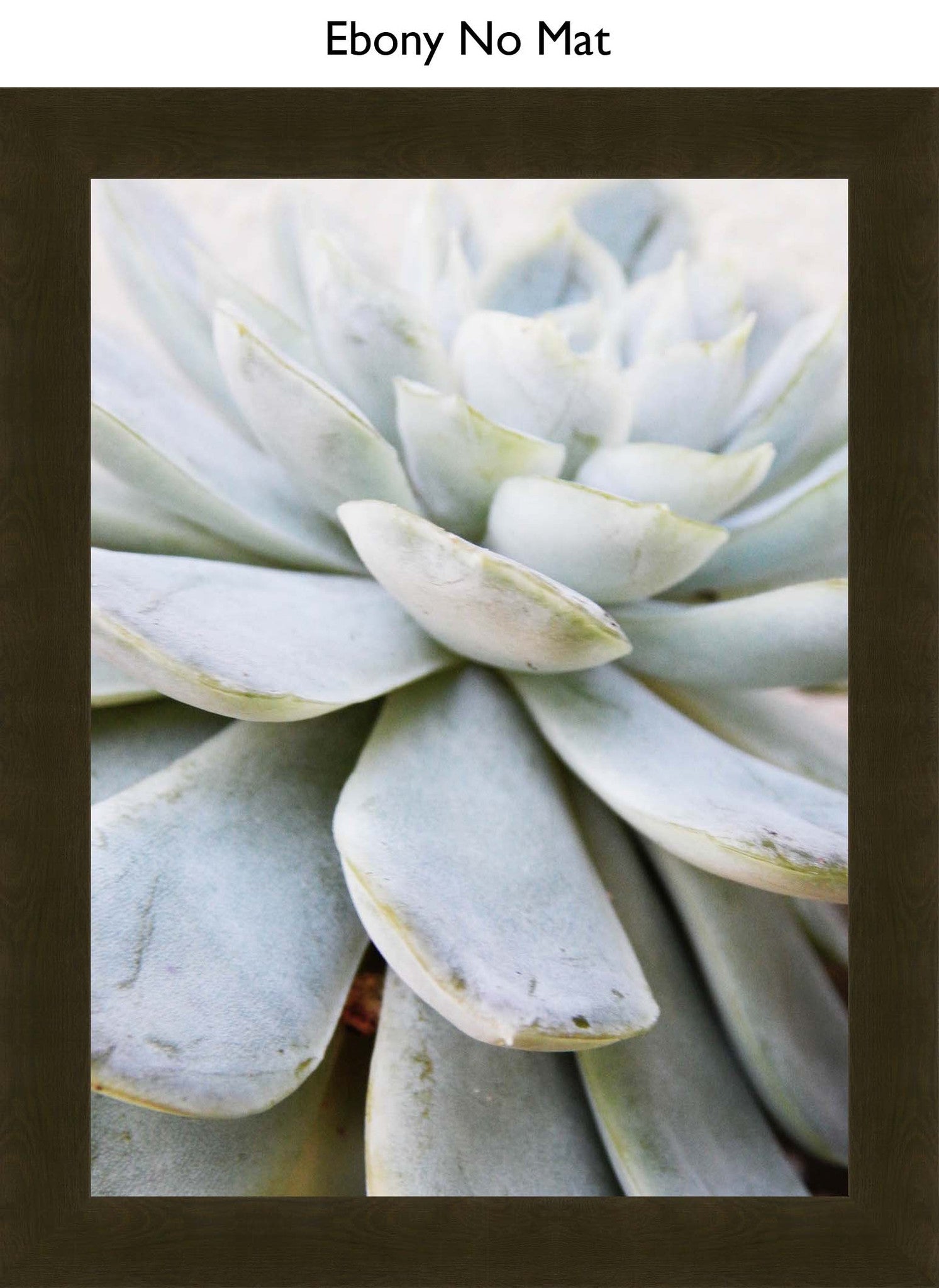 Ebony No Mat