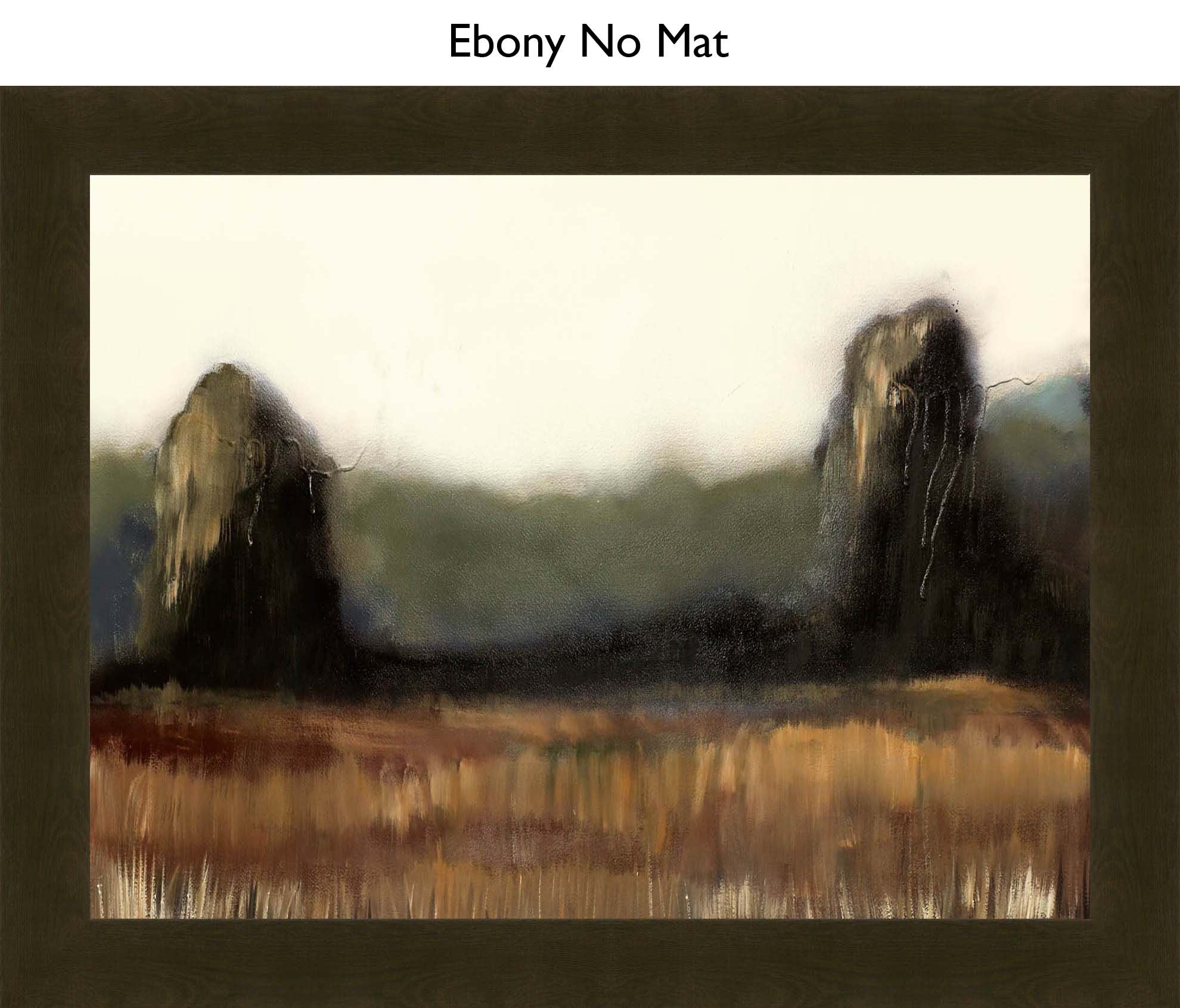 Ebony No Mat