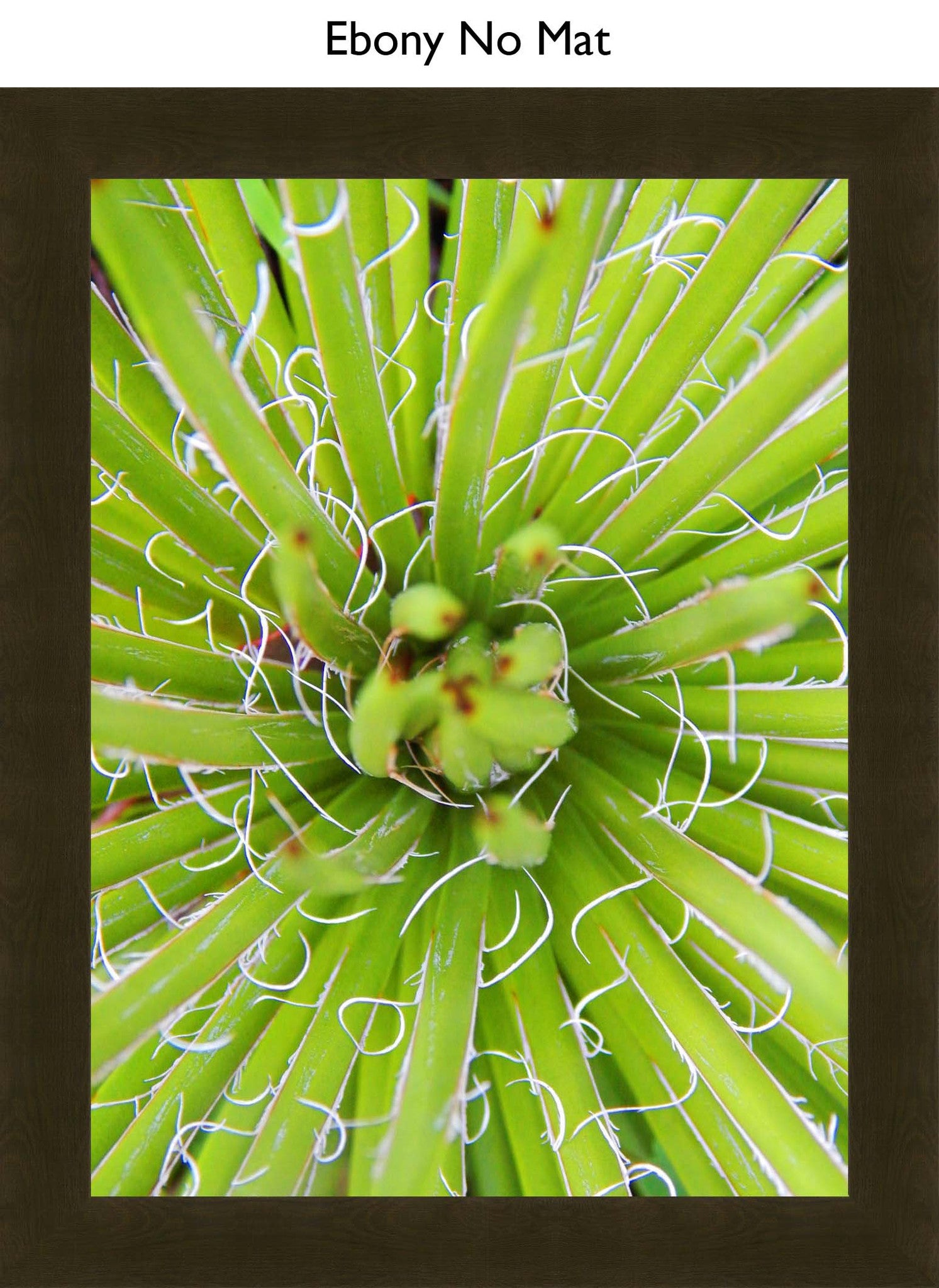 Ebony No Mat