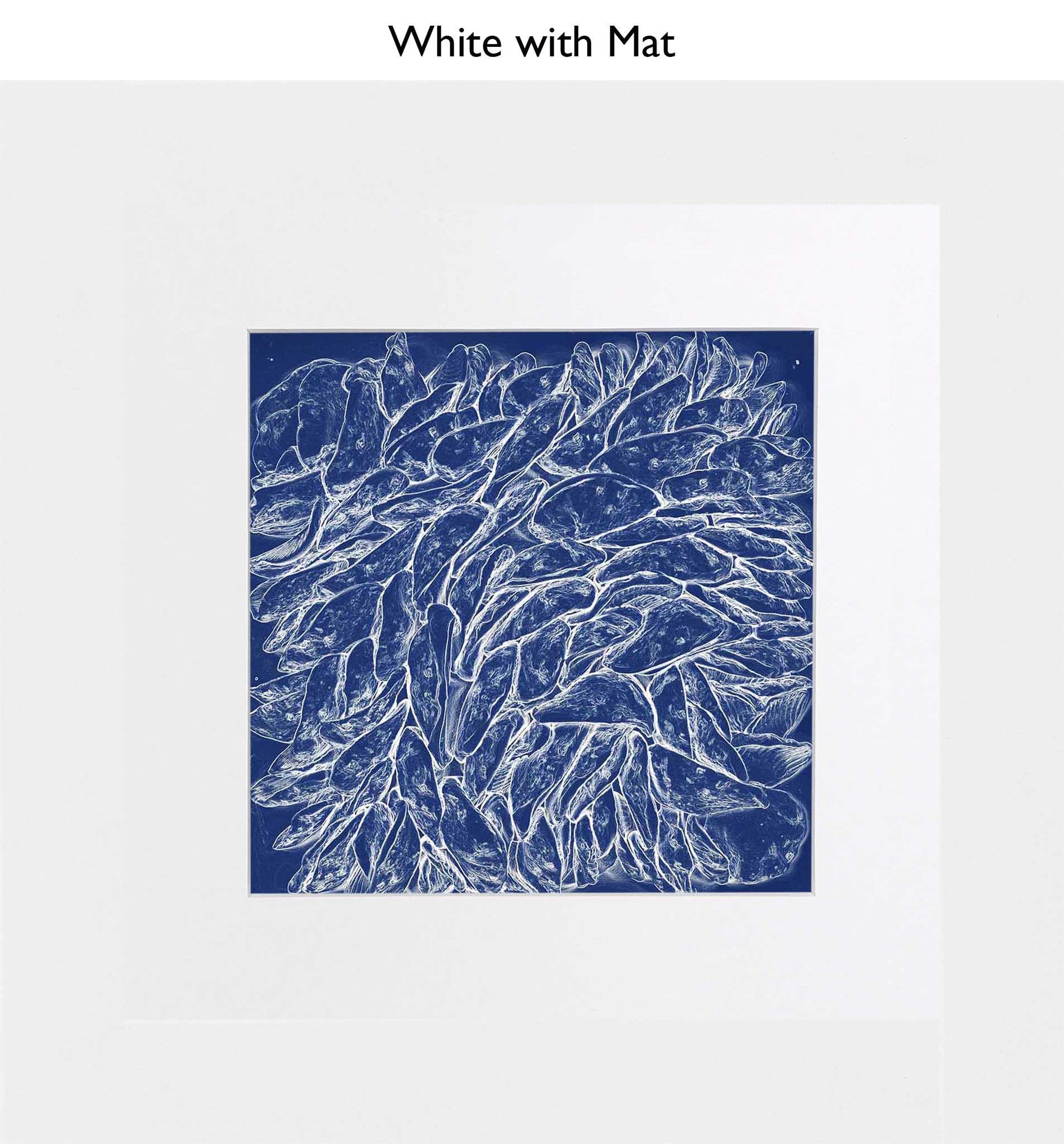 White With Mat