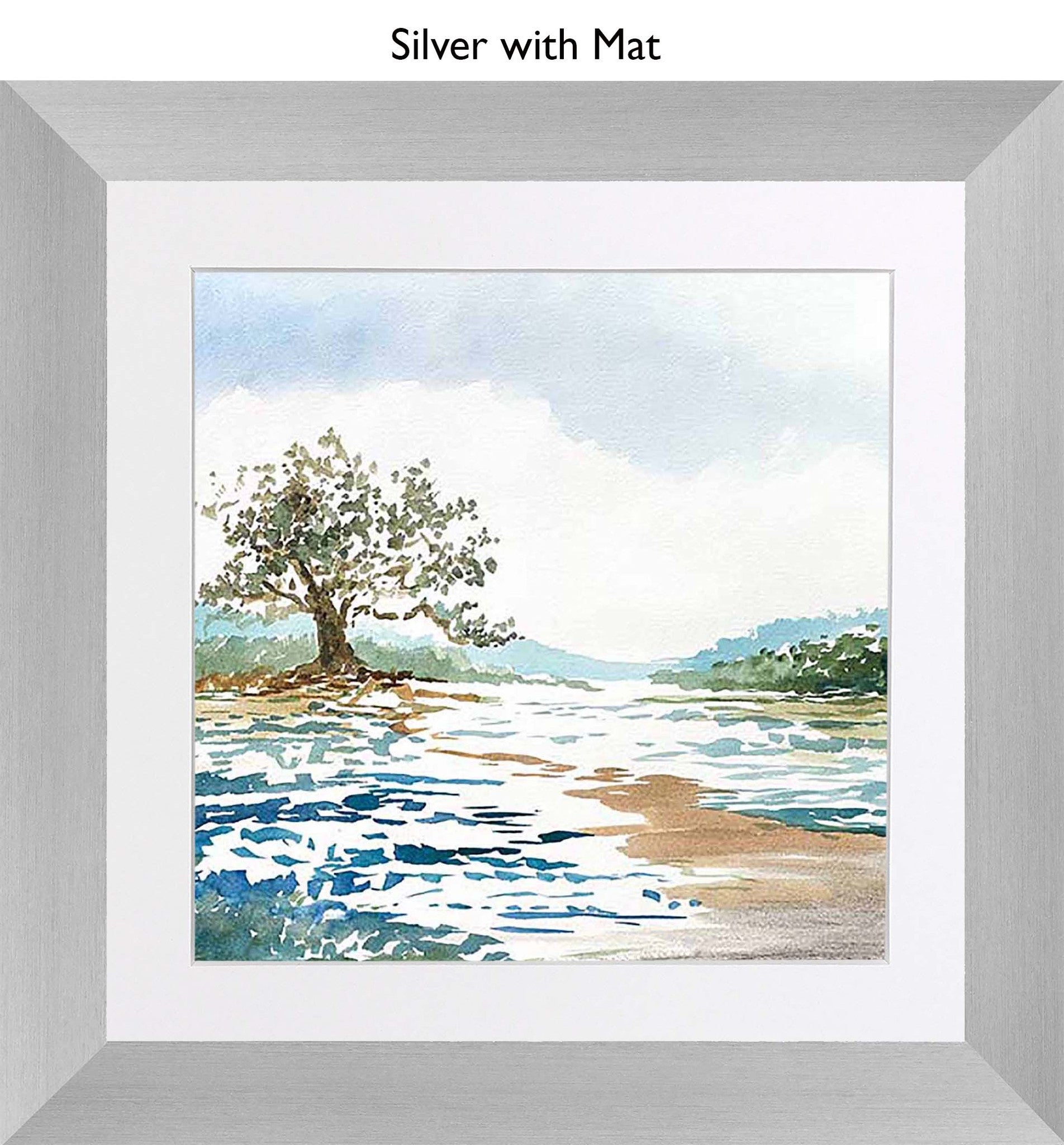 Silver With Mat