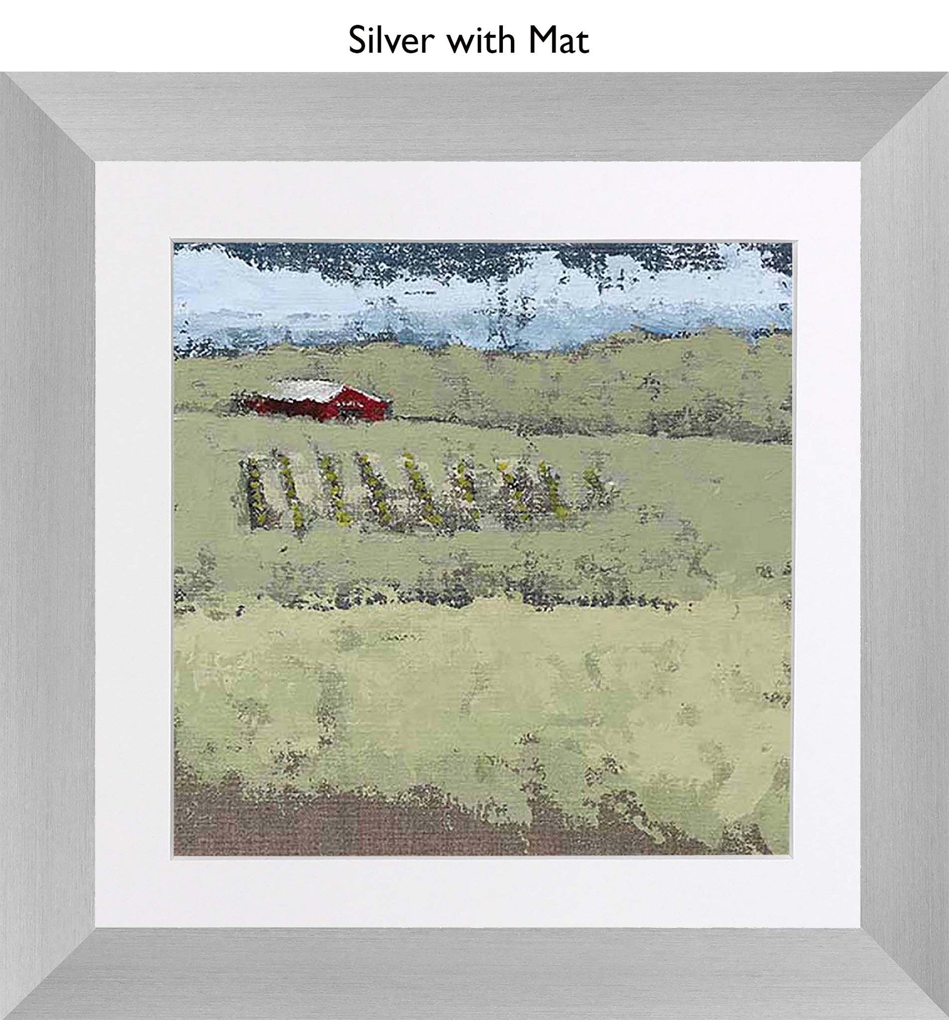 Silver With Mat
