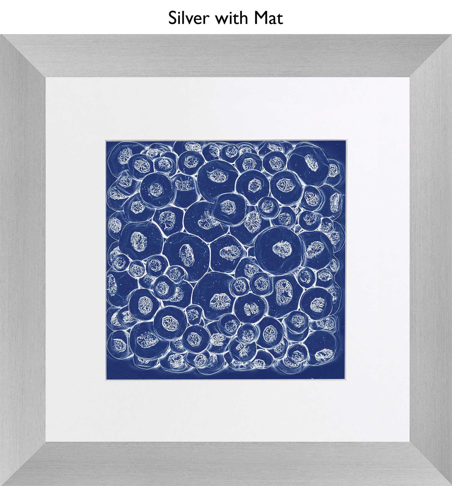Silver With Mat