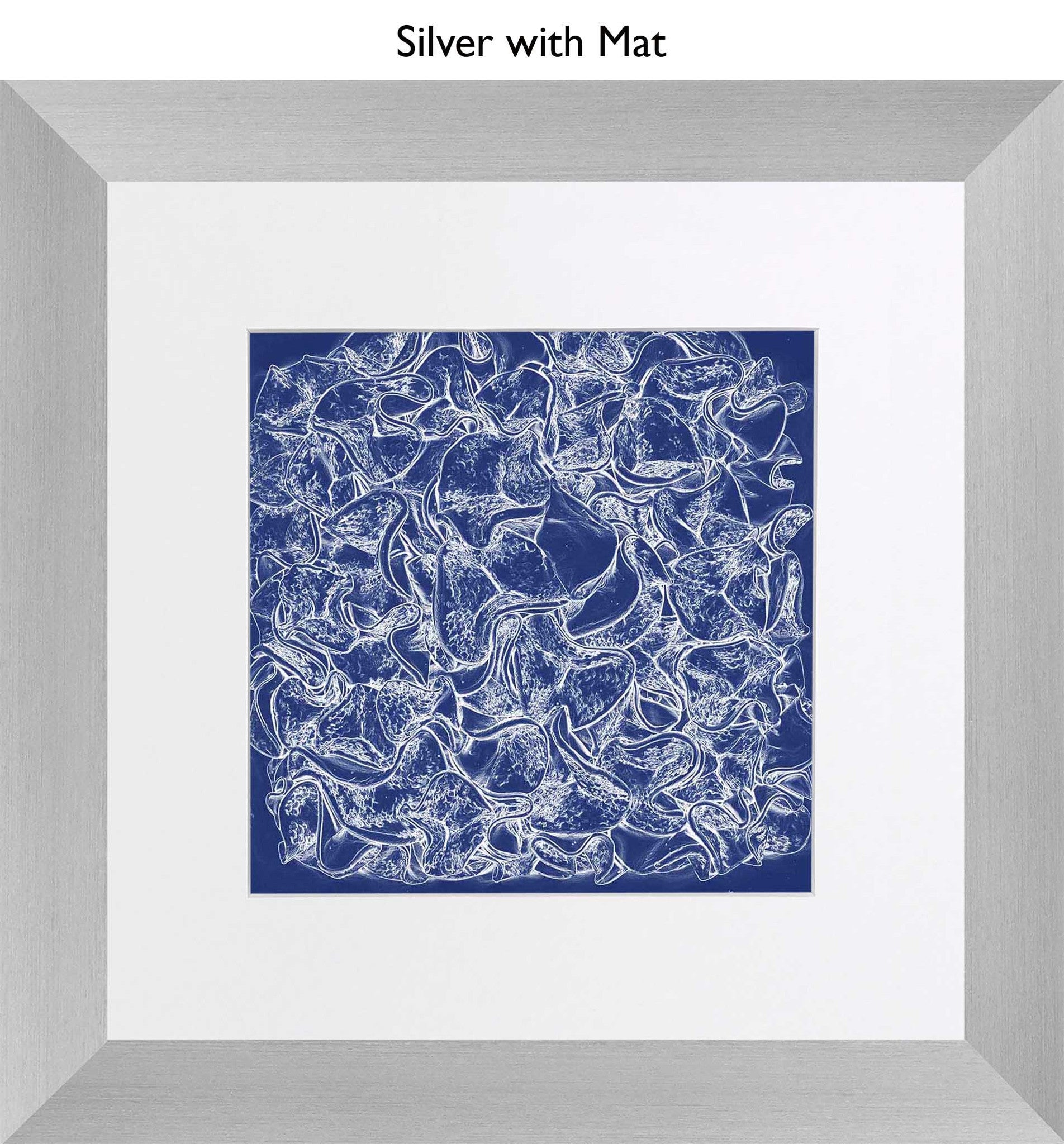 Silver With Mat