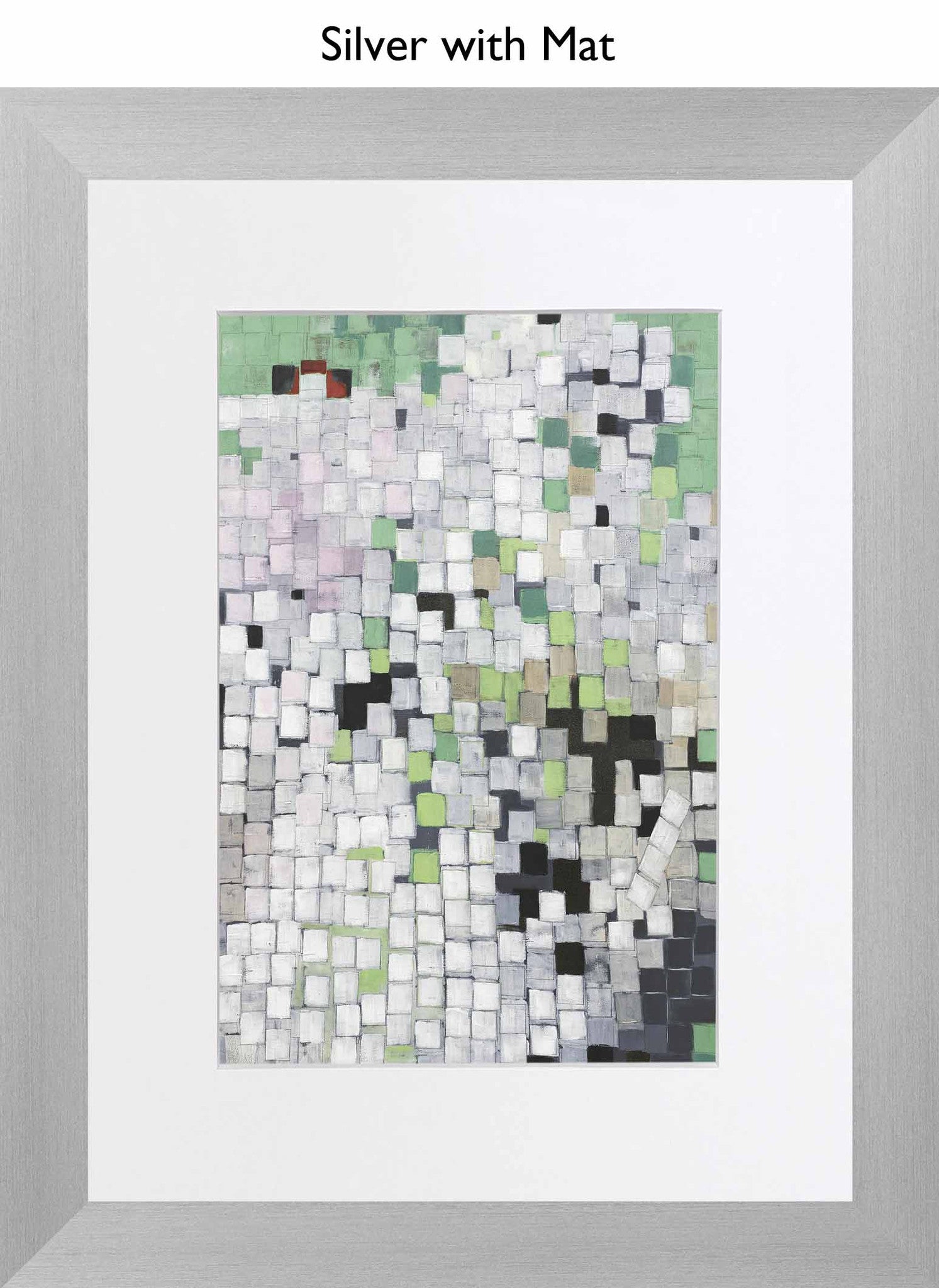 Silver With Mat