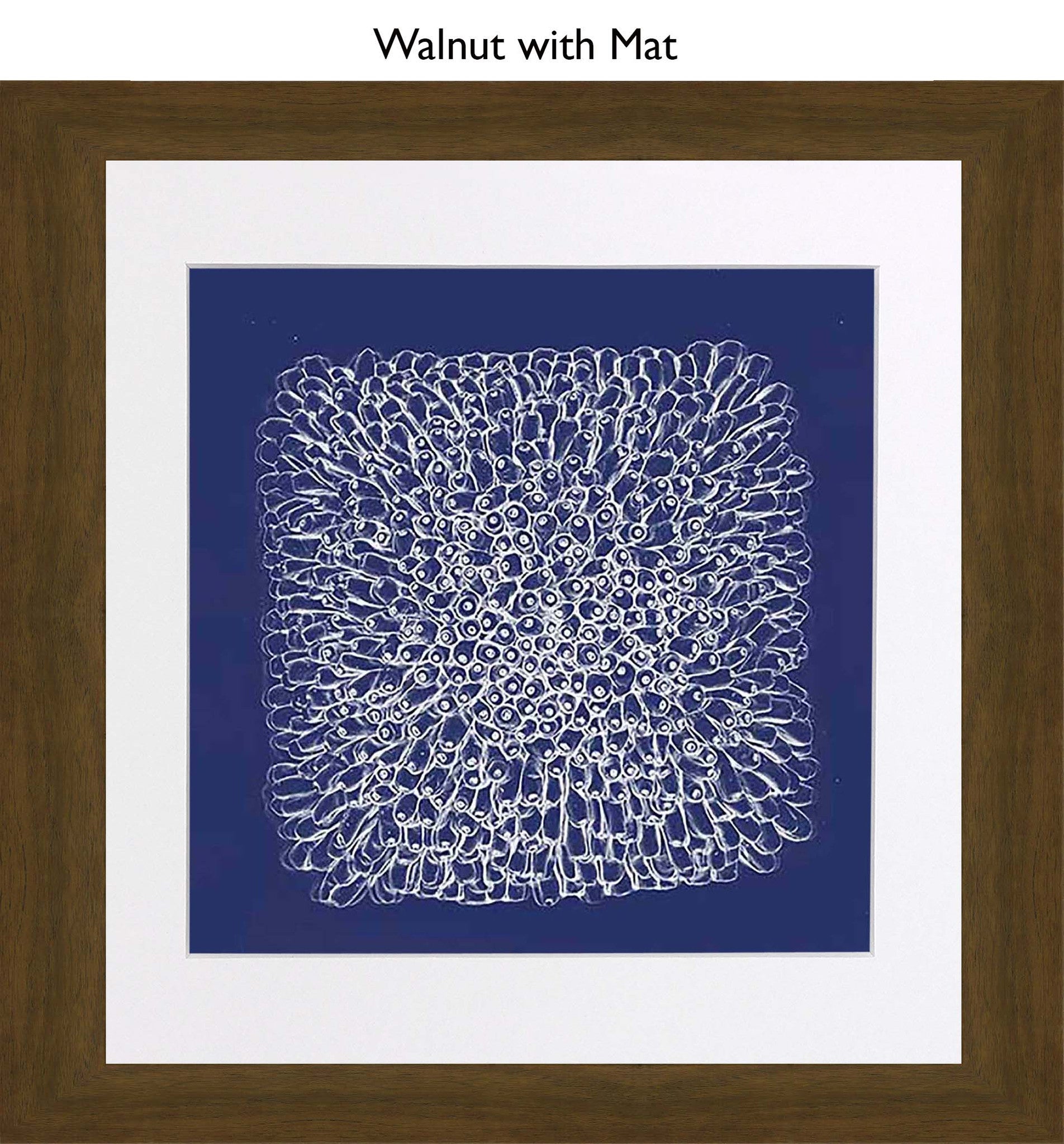 Walnut With Mat