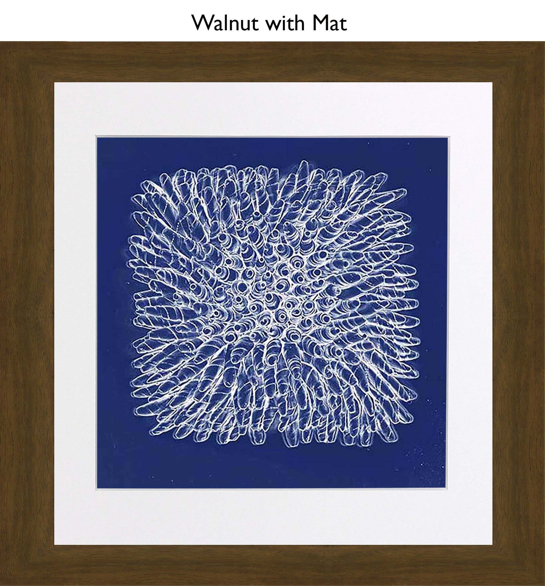Walnut With Mat