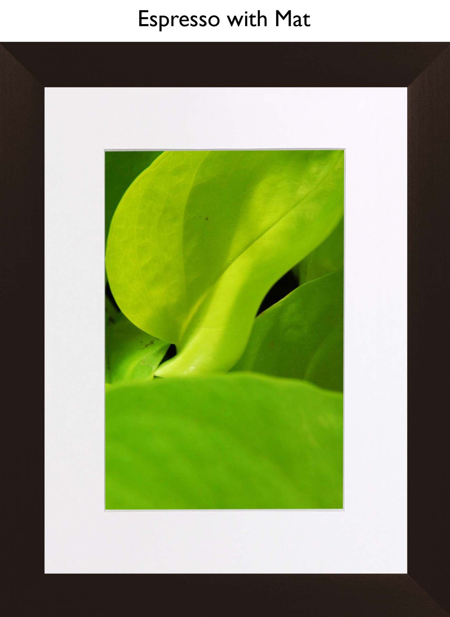 Espresso With Mat