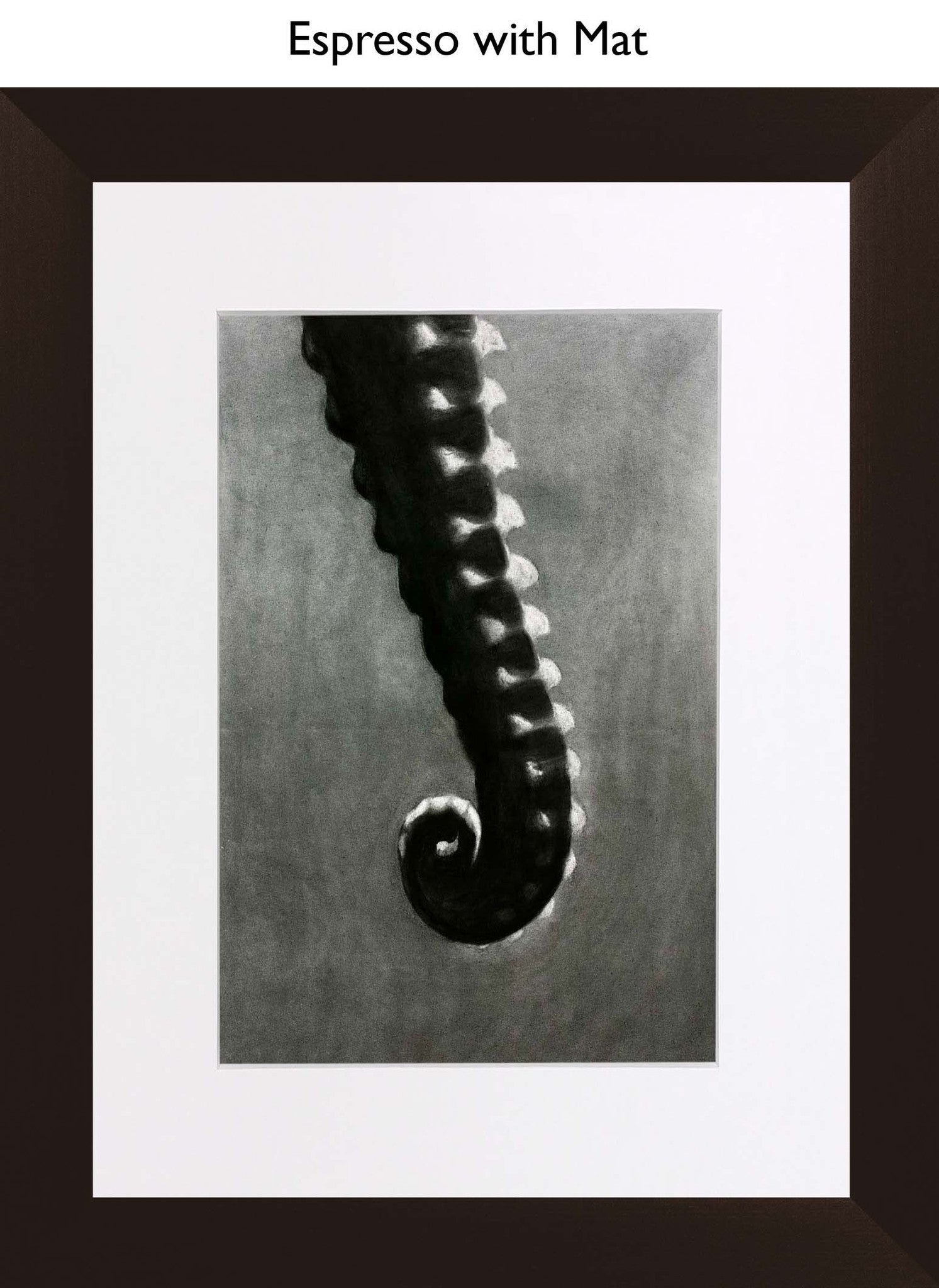 Espresso With Mat