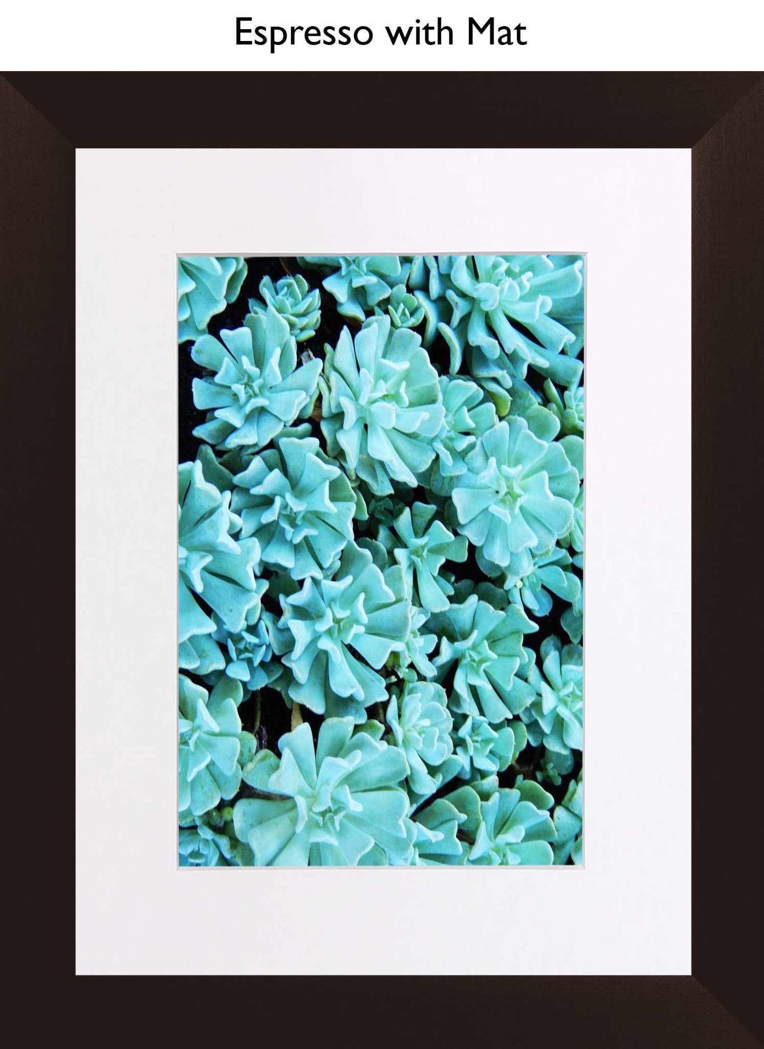Espresso With Mat