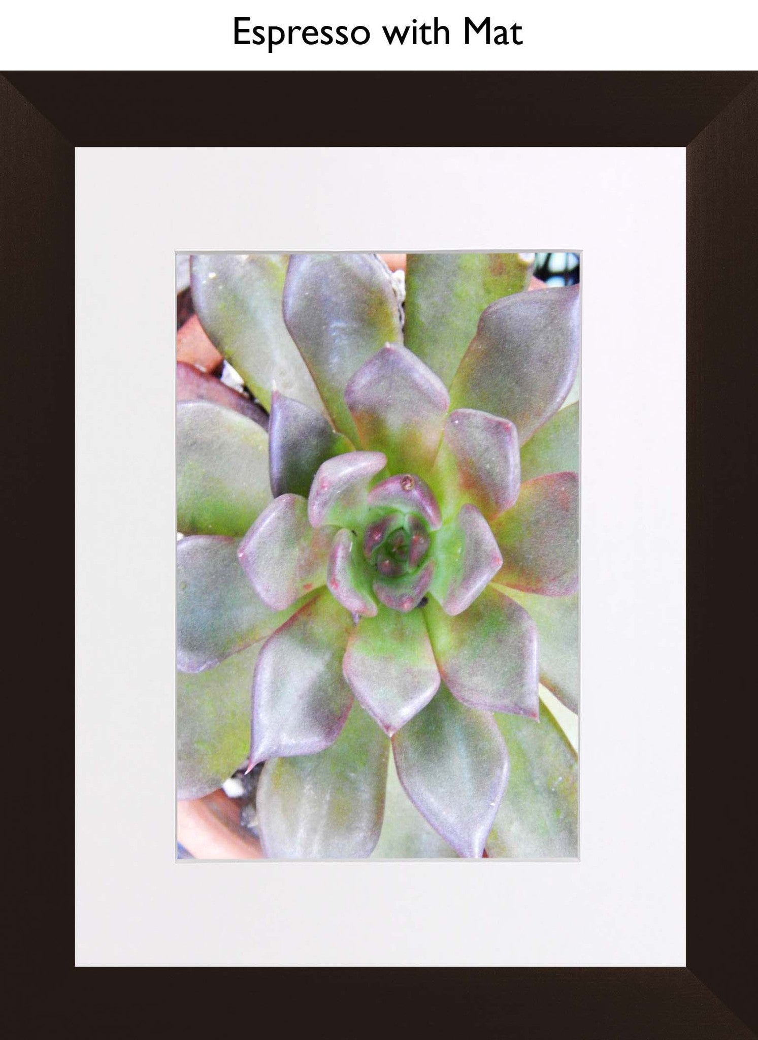 Espresso With Mat
