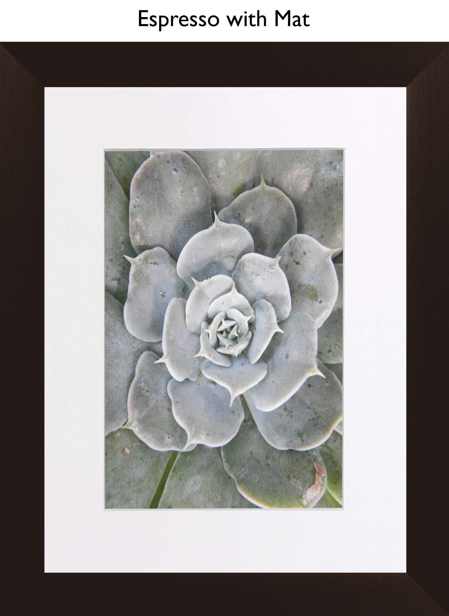 Espresso With Mat