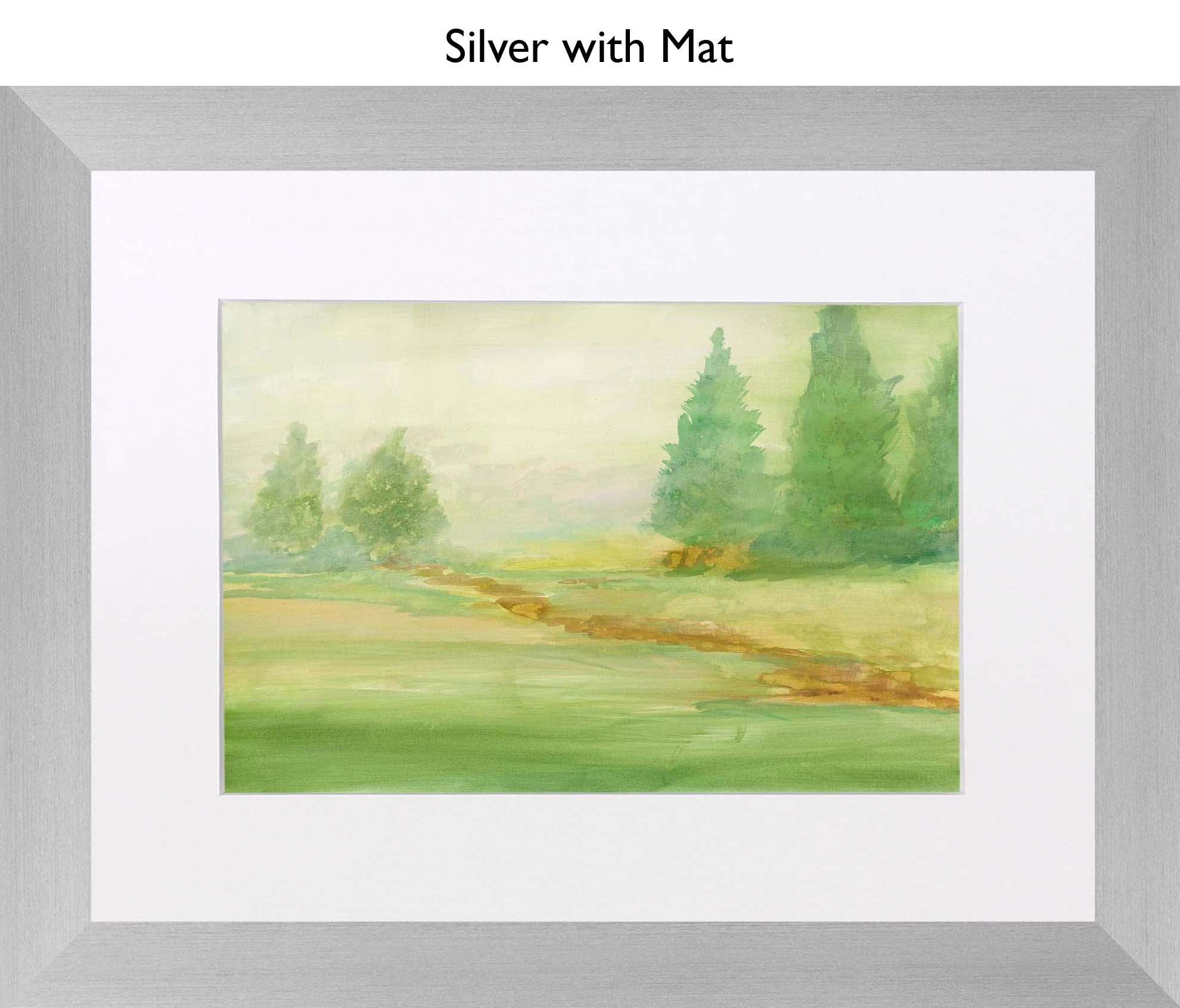 Silver With Mat