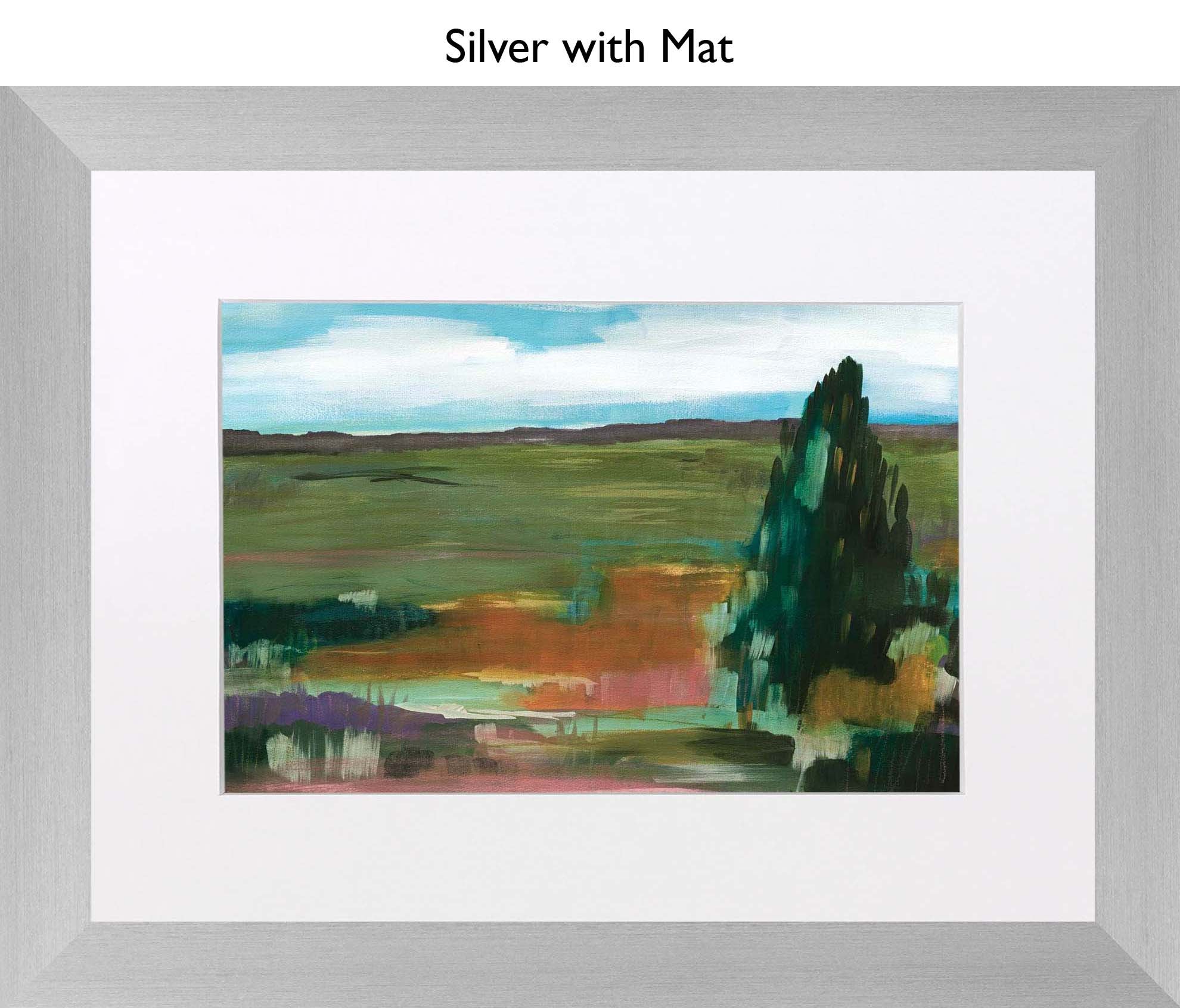 Silver With Mat