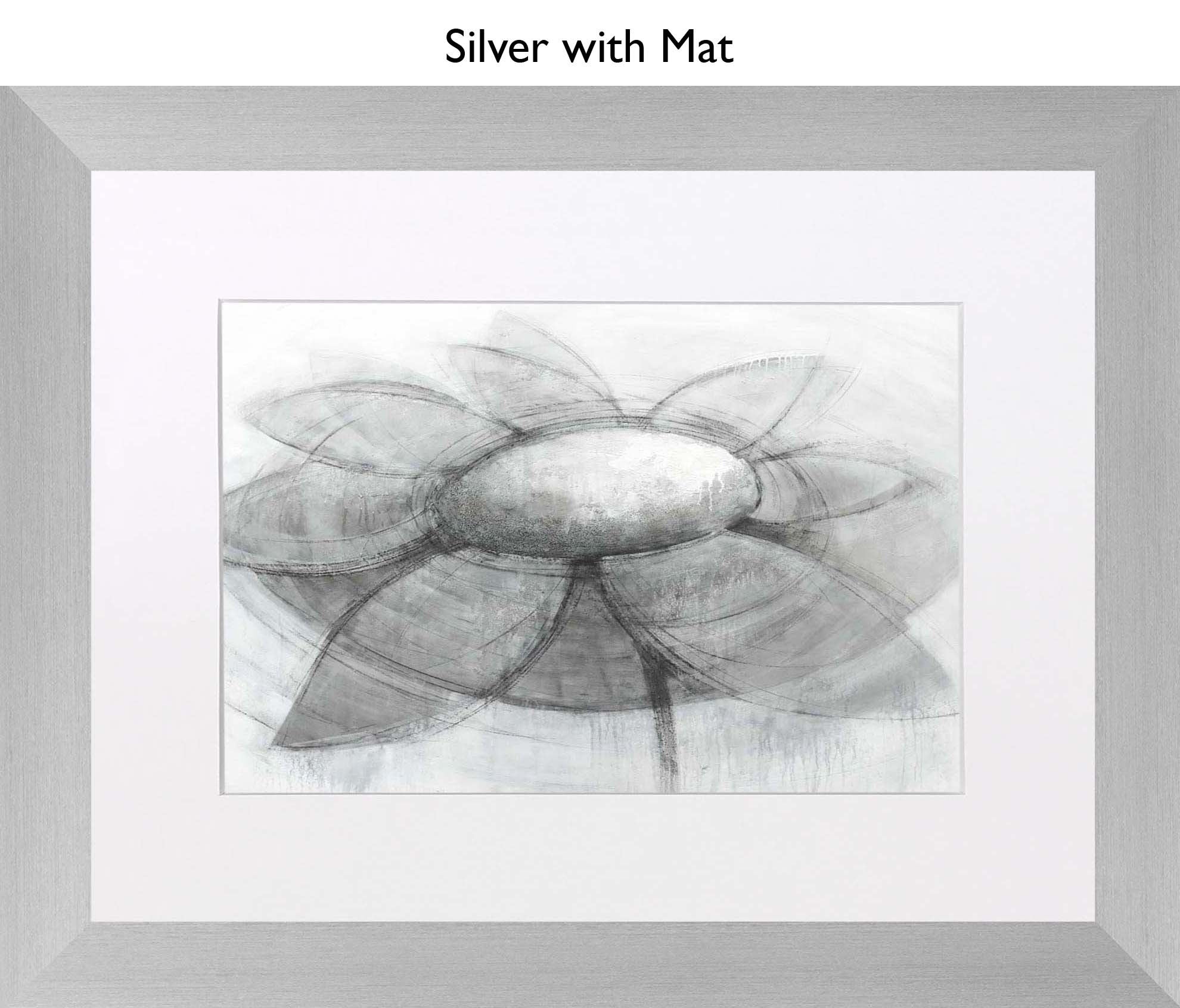 Silver With Mat