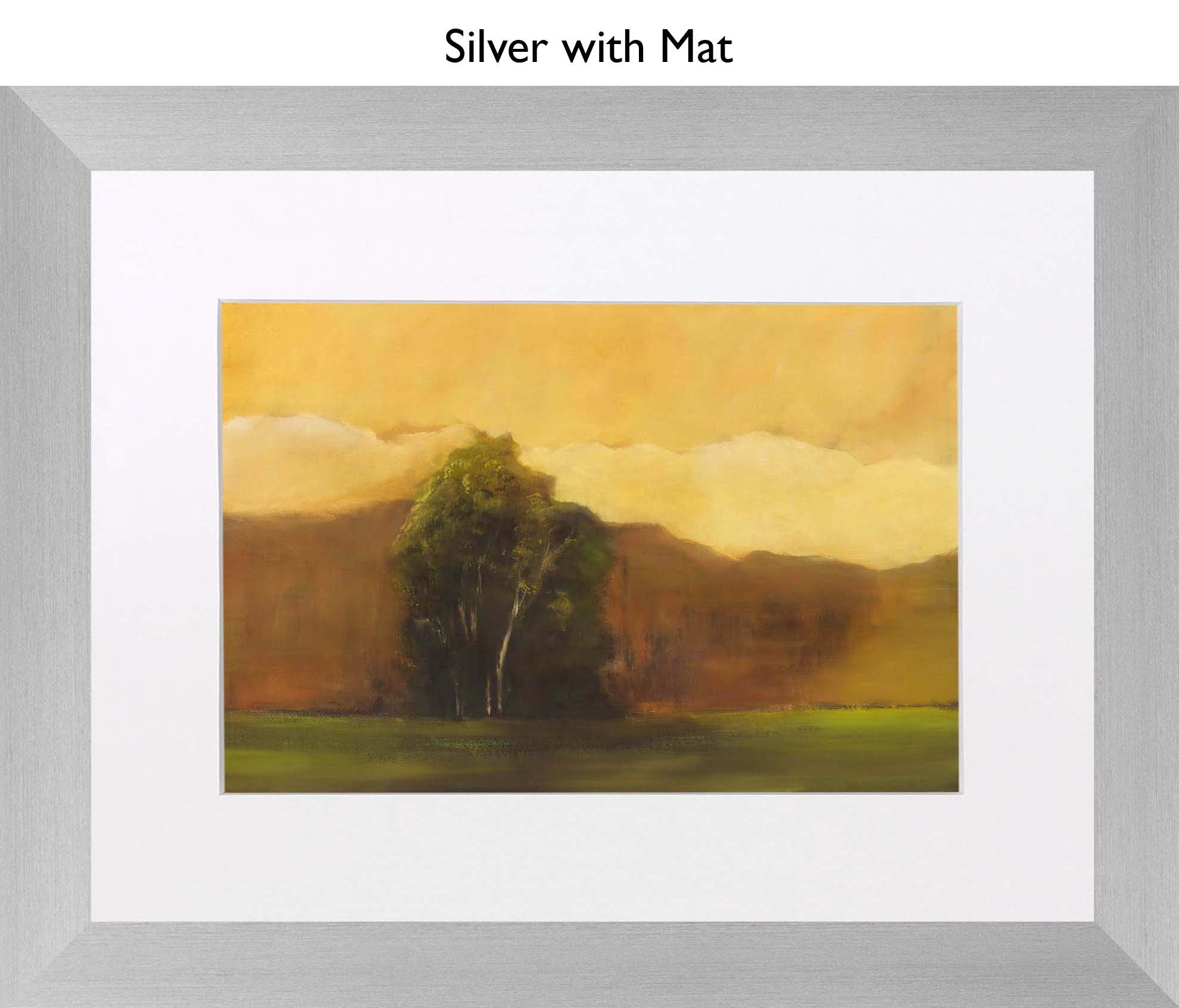 Silver With Mat