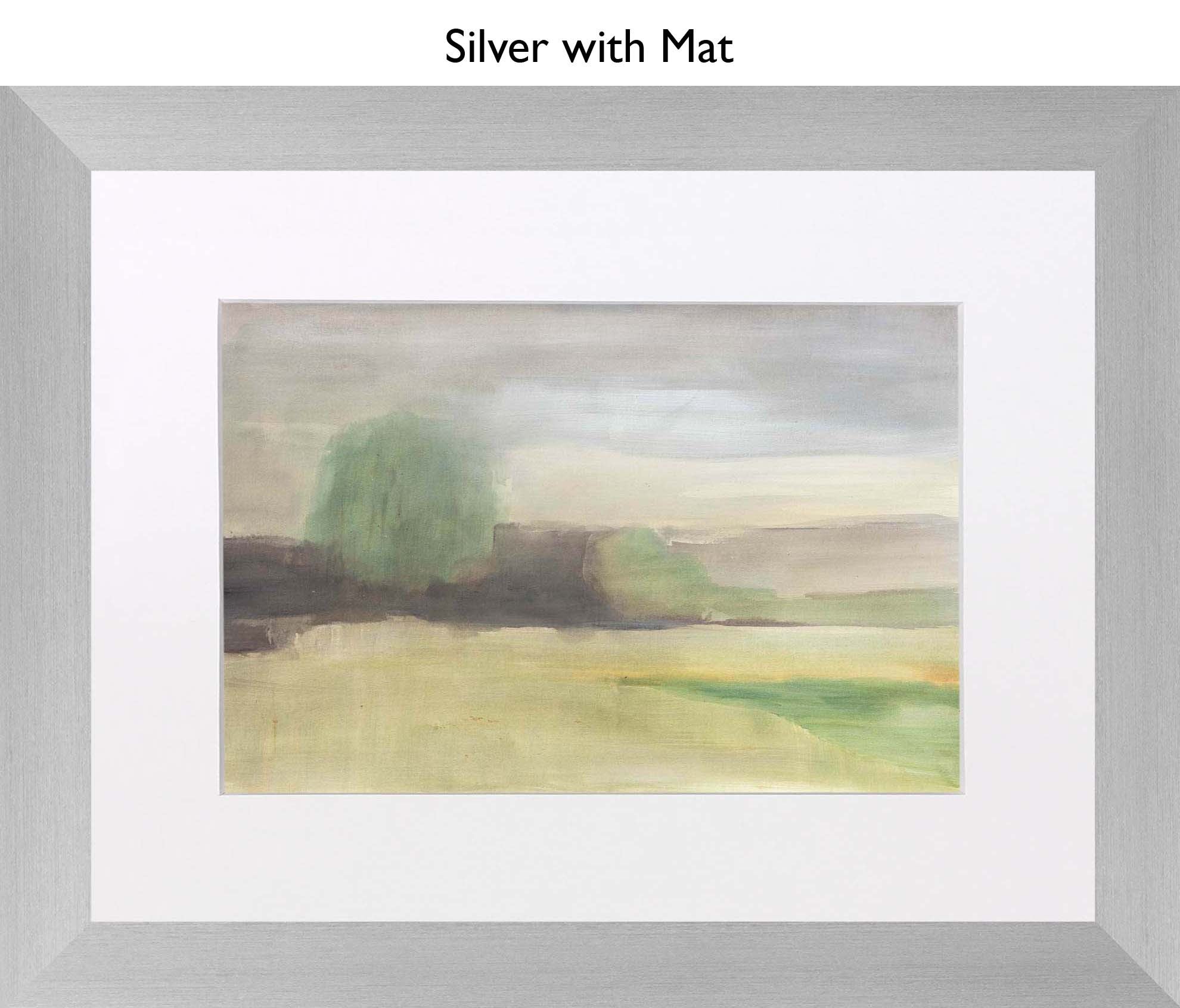 Silver With Mat