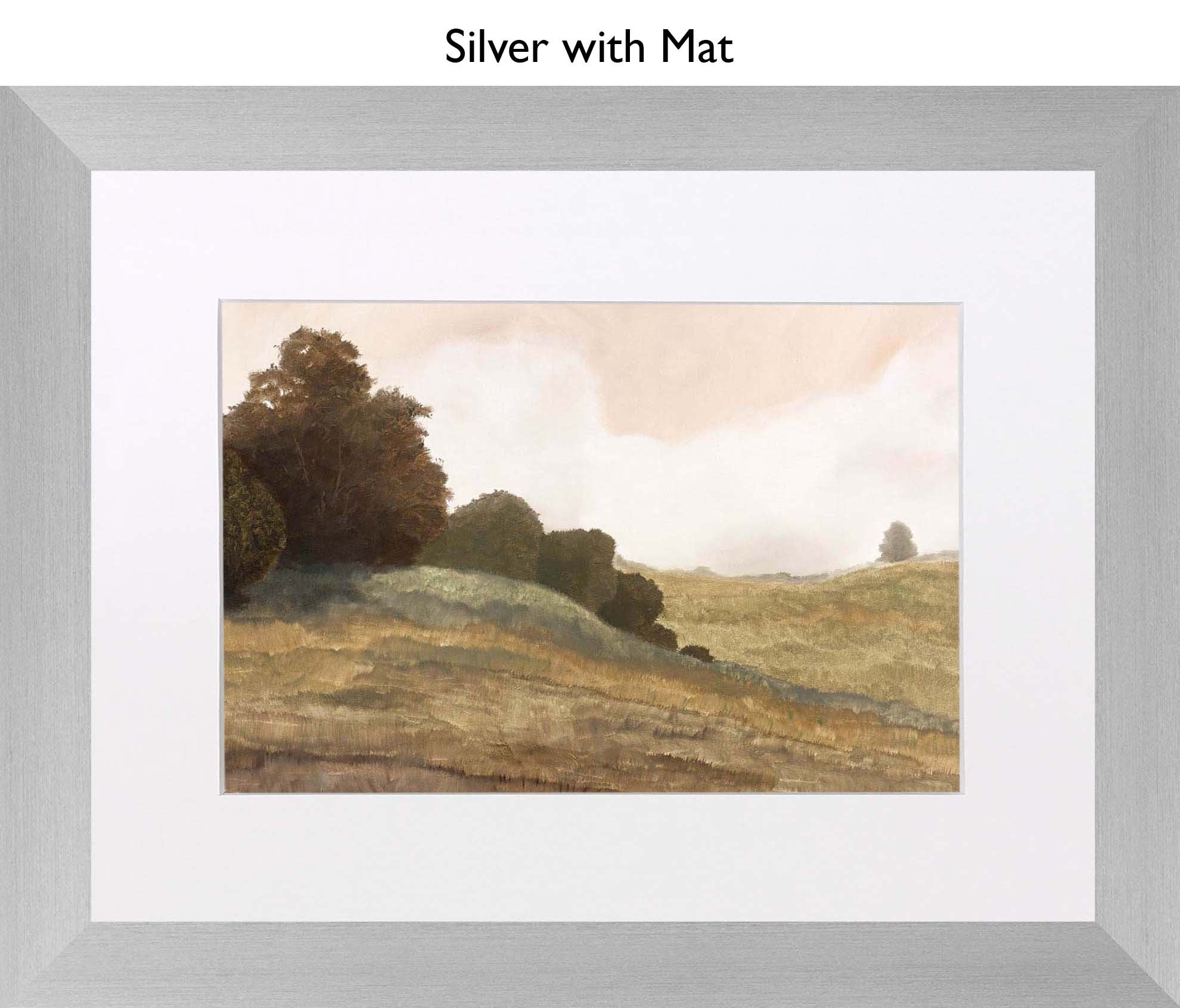 Silver With Mat