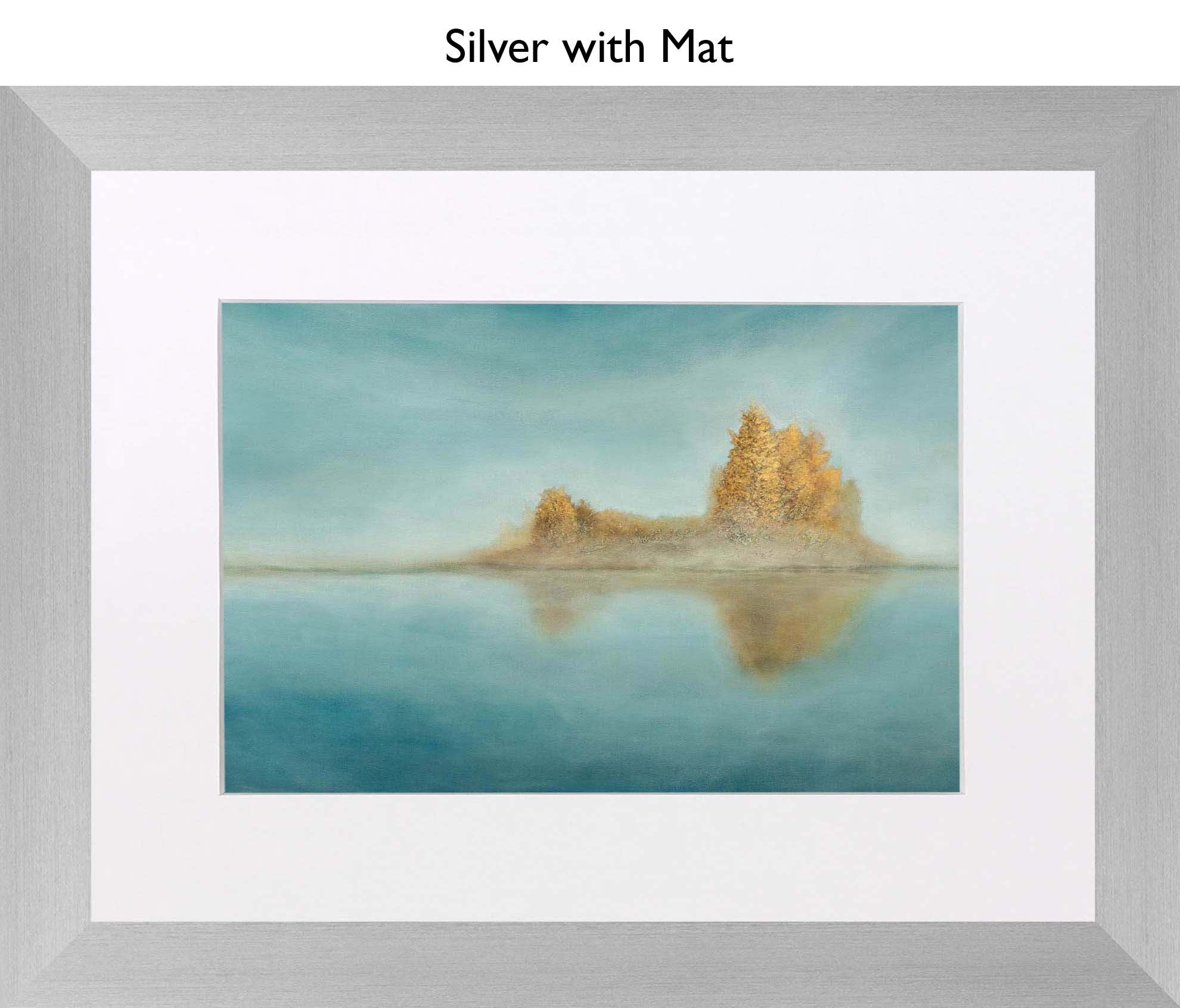 Silver With Mat