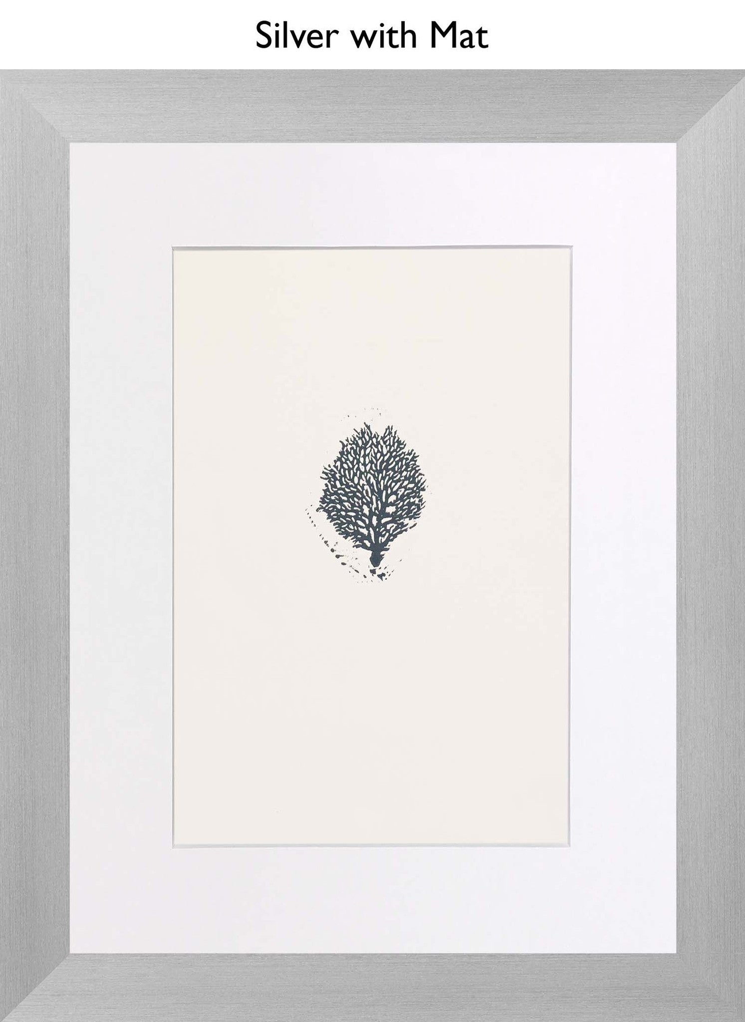 Silver With Mat