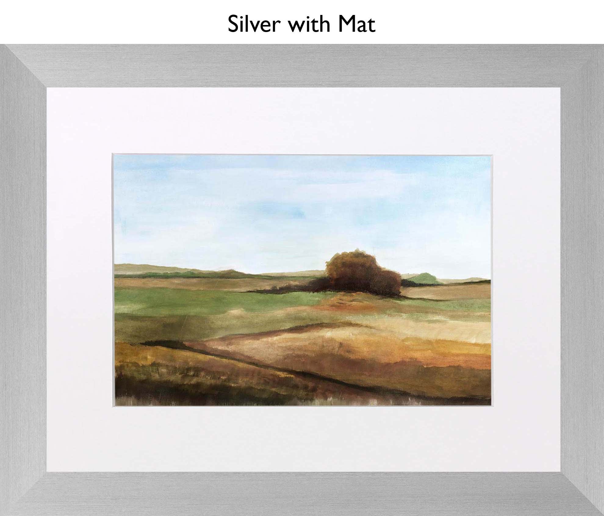 Silver With Mat