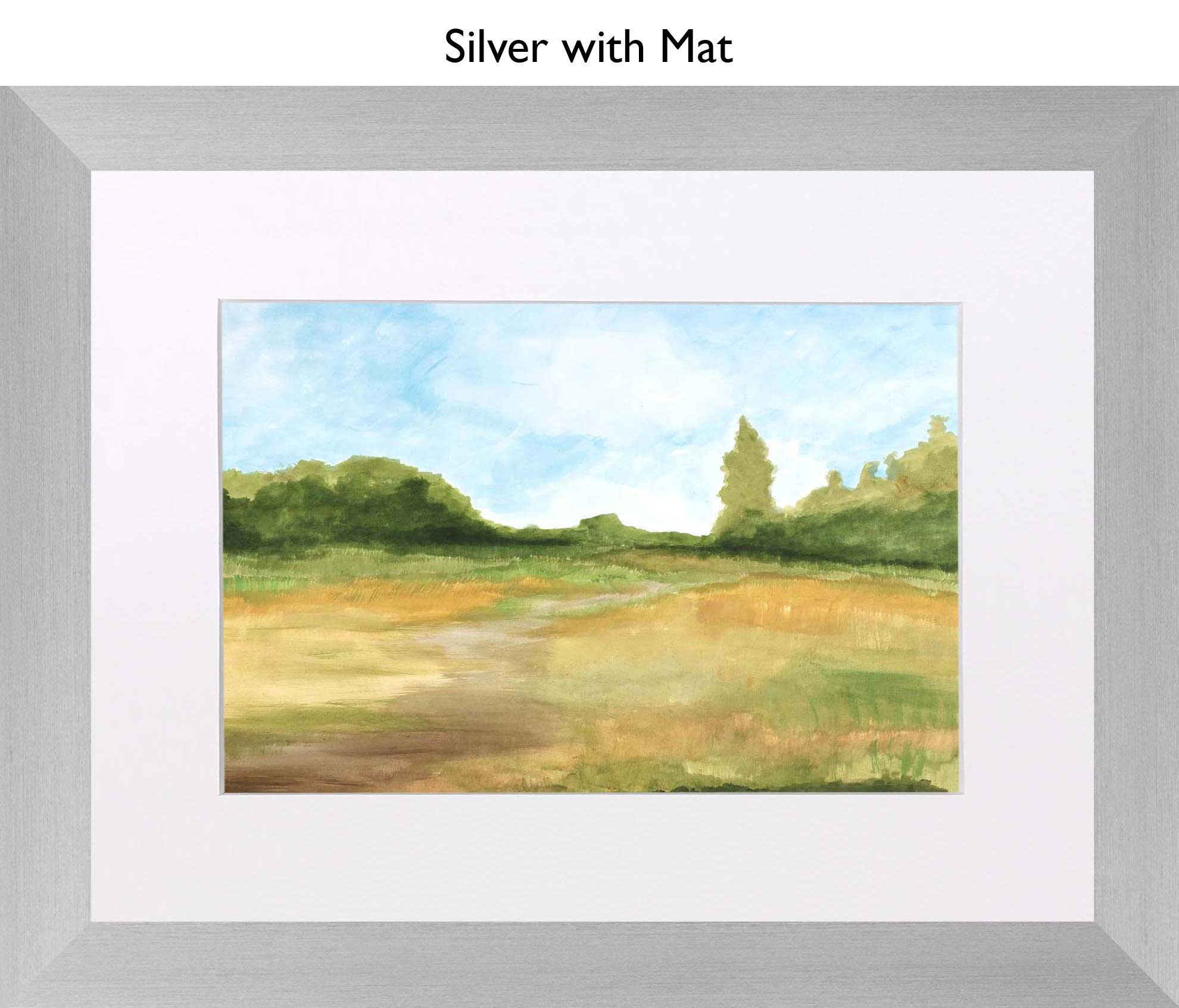 Silver With Mat