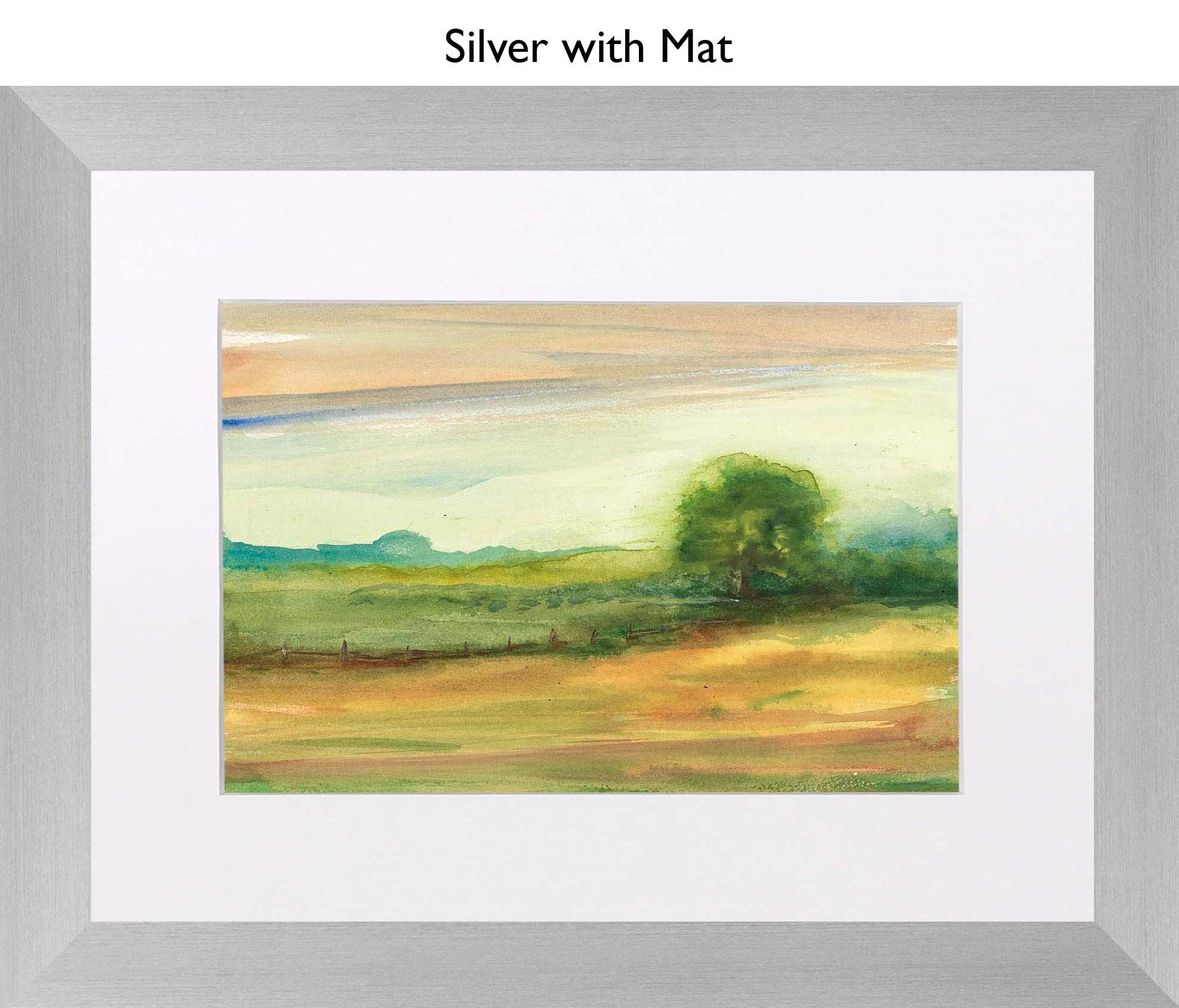 Silver With Mat