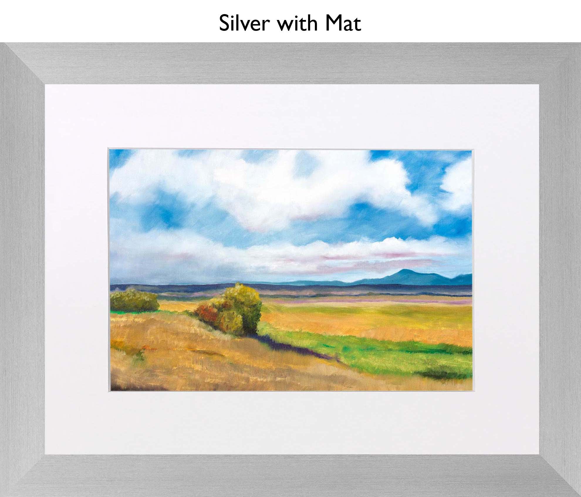 Silver With Mat