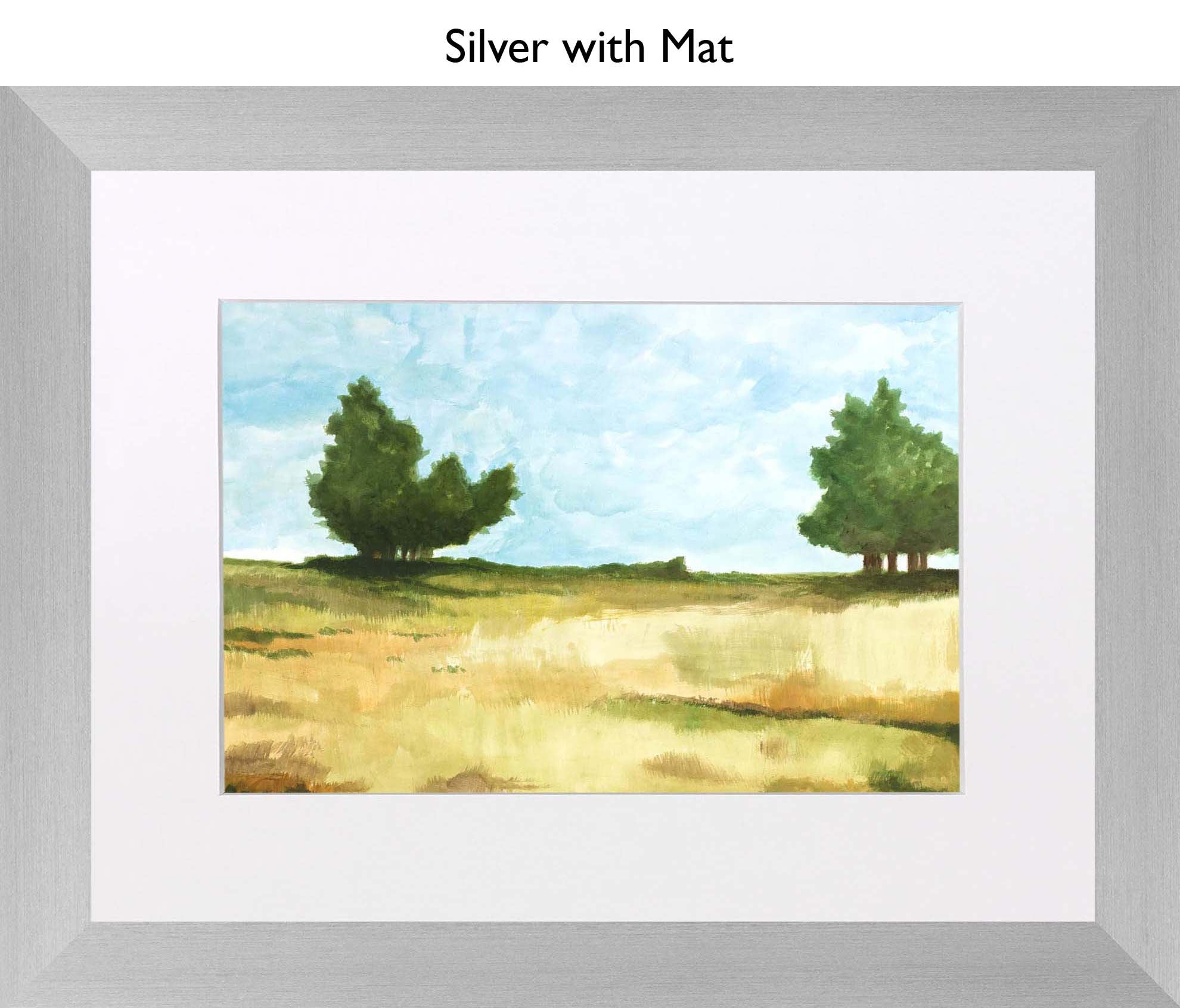 Silver With Mat