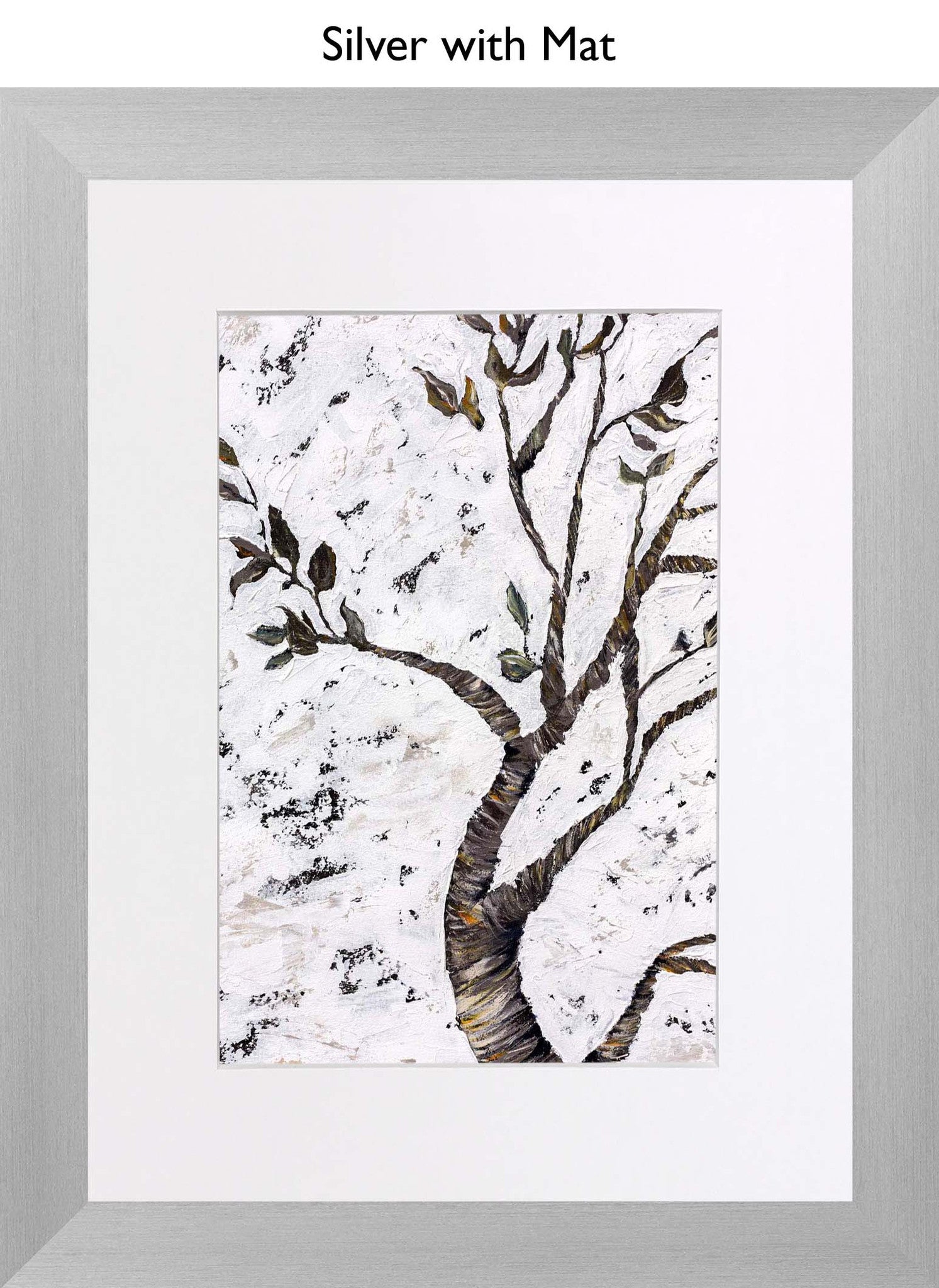 Silver With Mat
