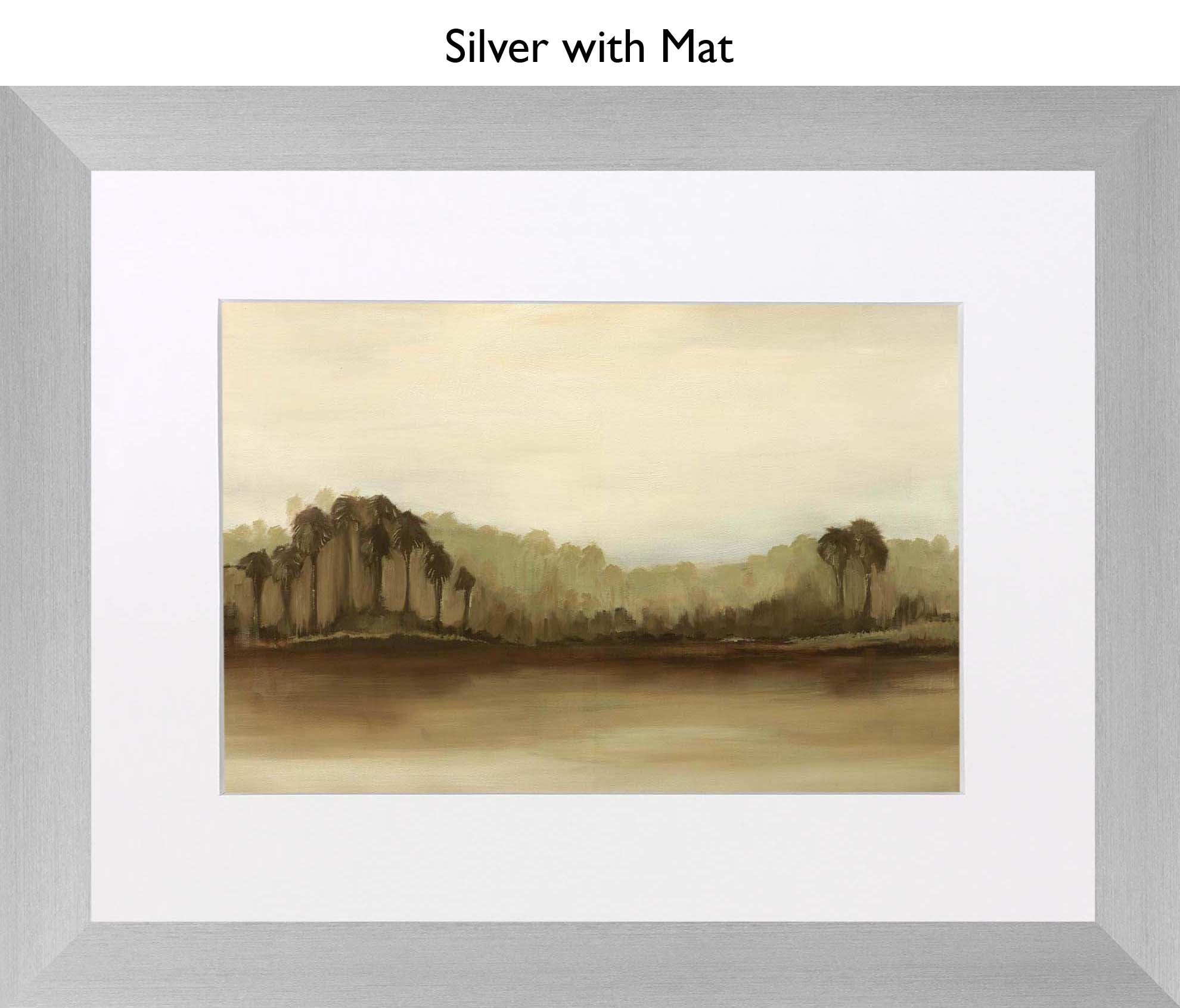 Silver With Mat