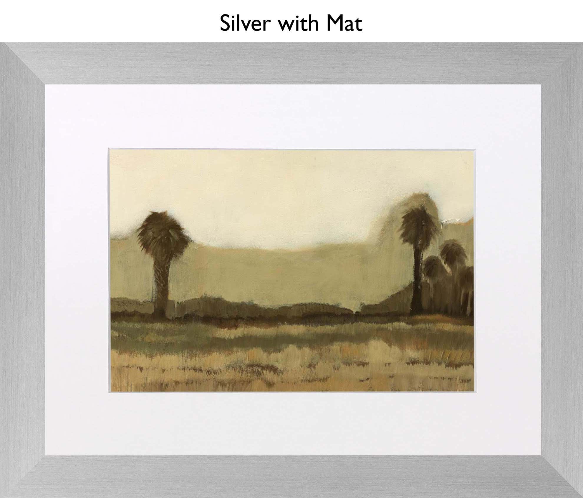 Silver With Mat