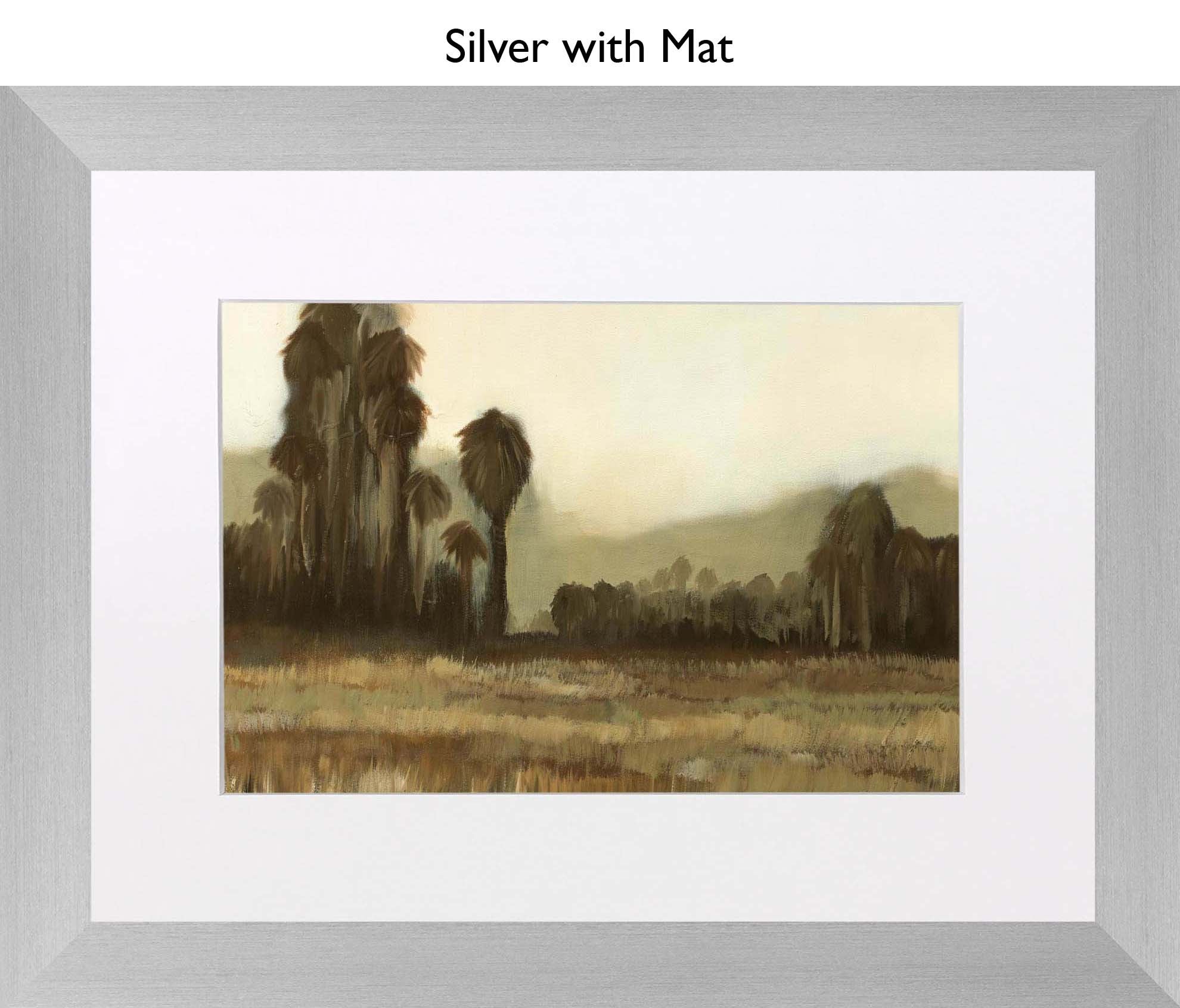 Silver With Mat