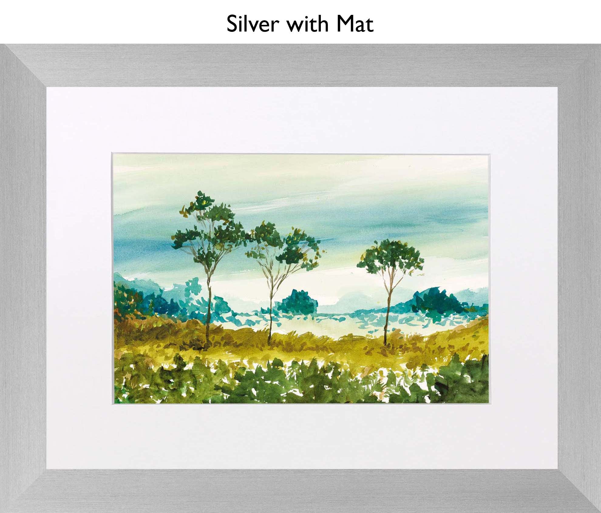 Silver With Mat