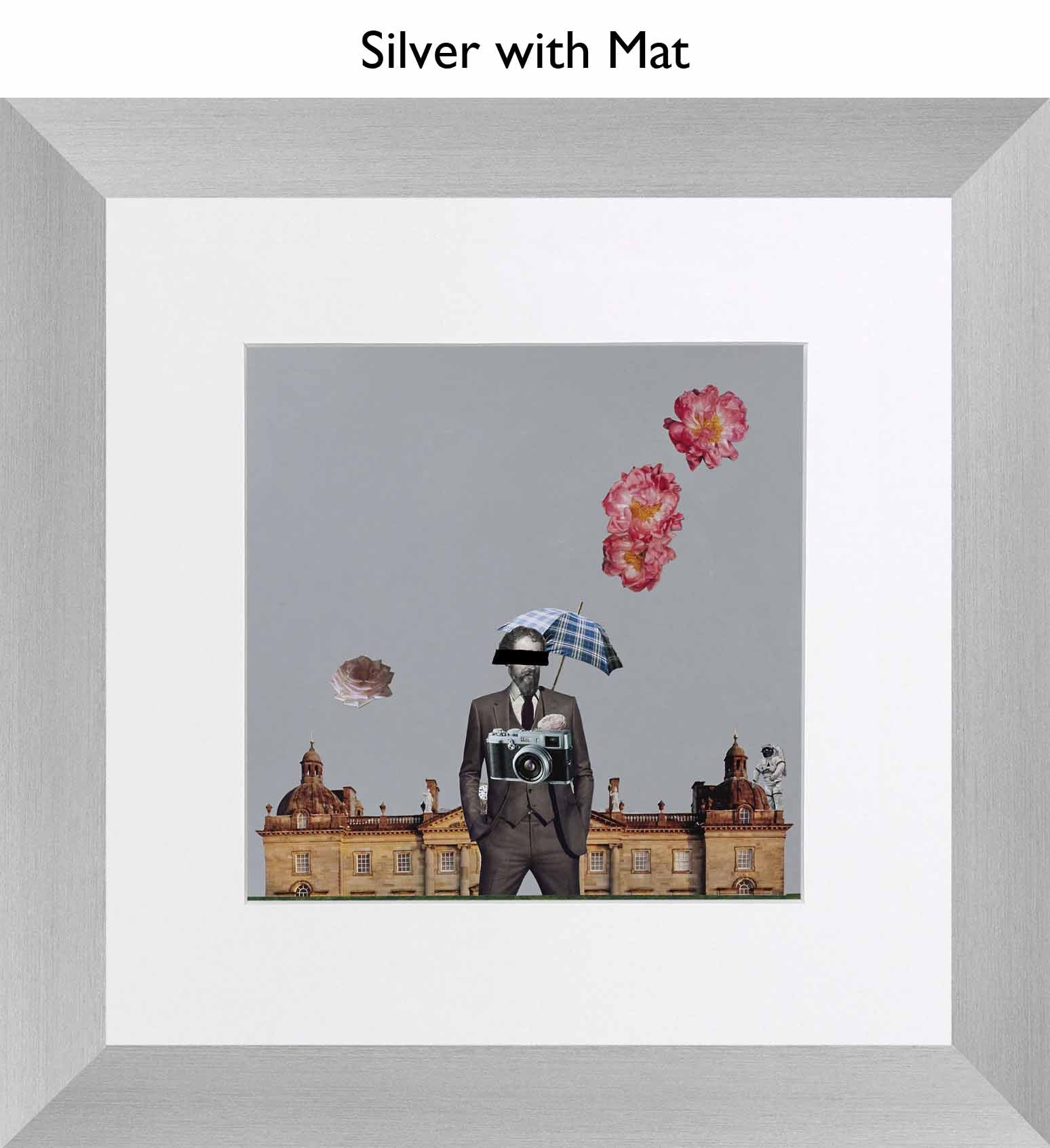 Silver With Mat